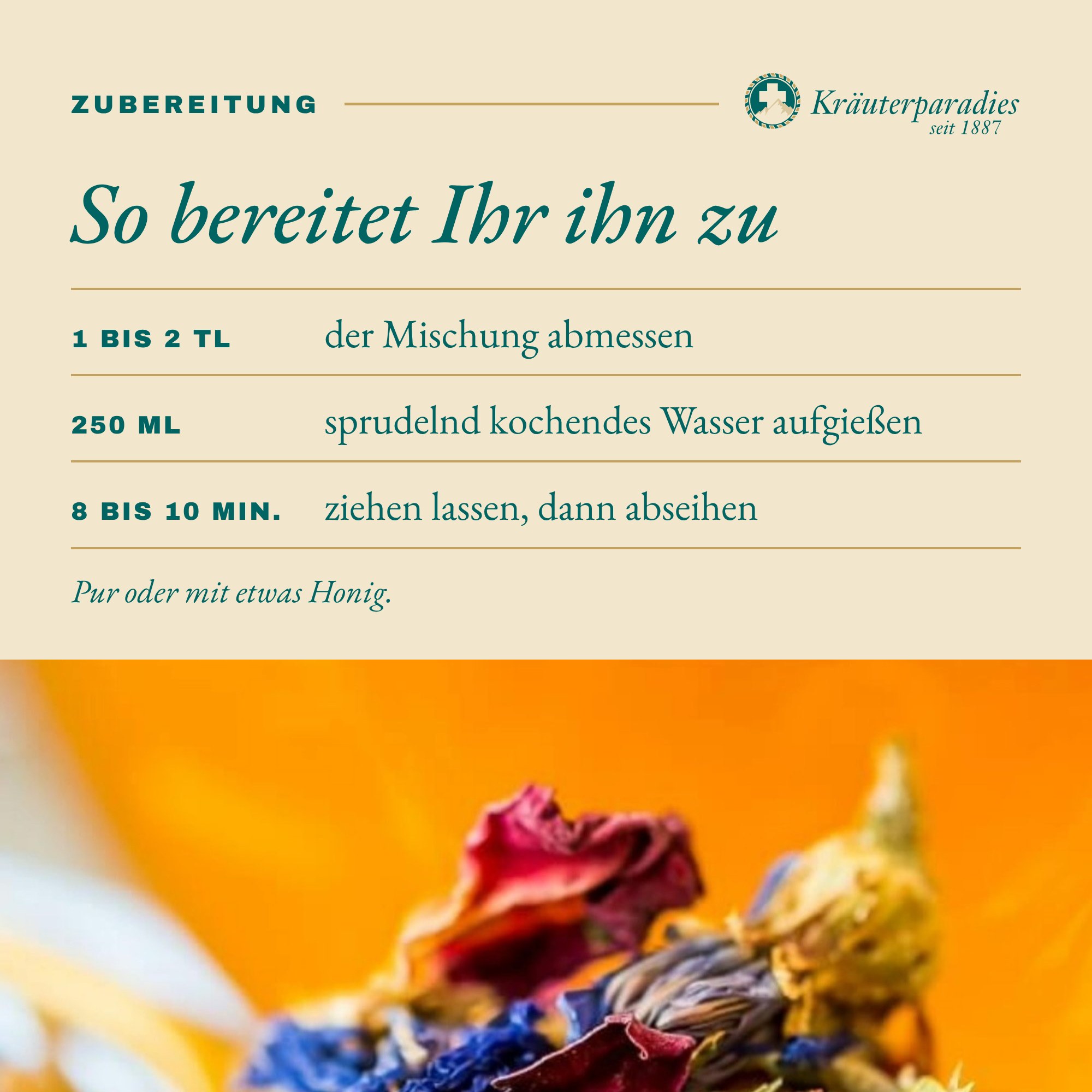 Haustee Helvetia: So bereitet Ihr ihn zu