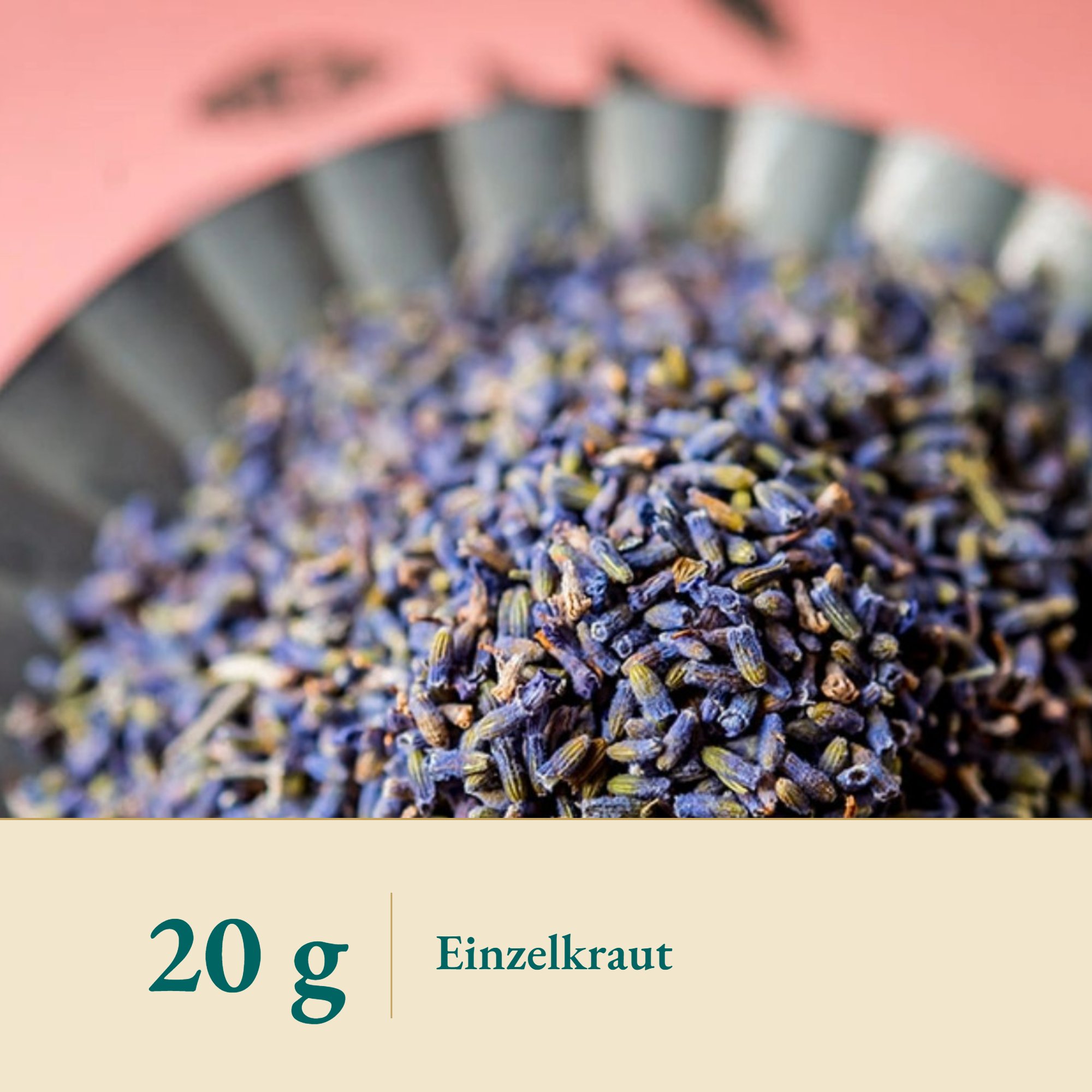 Nahaufnahme Lavendel 1 extra – Kräuterparadies seit 1887