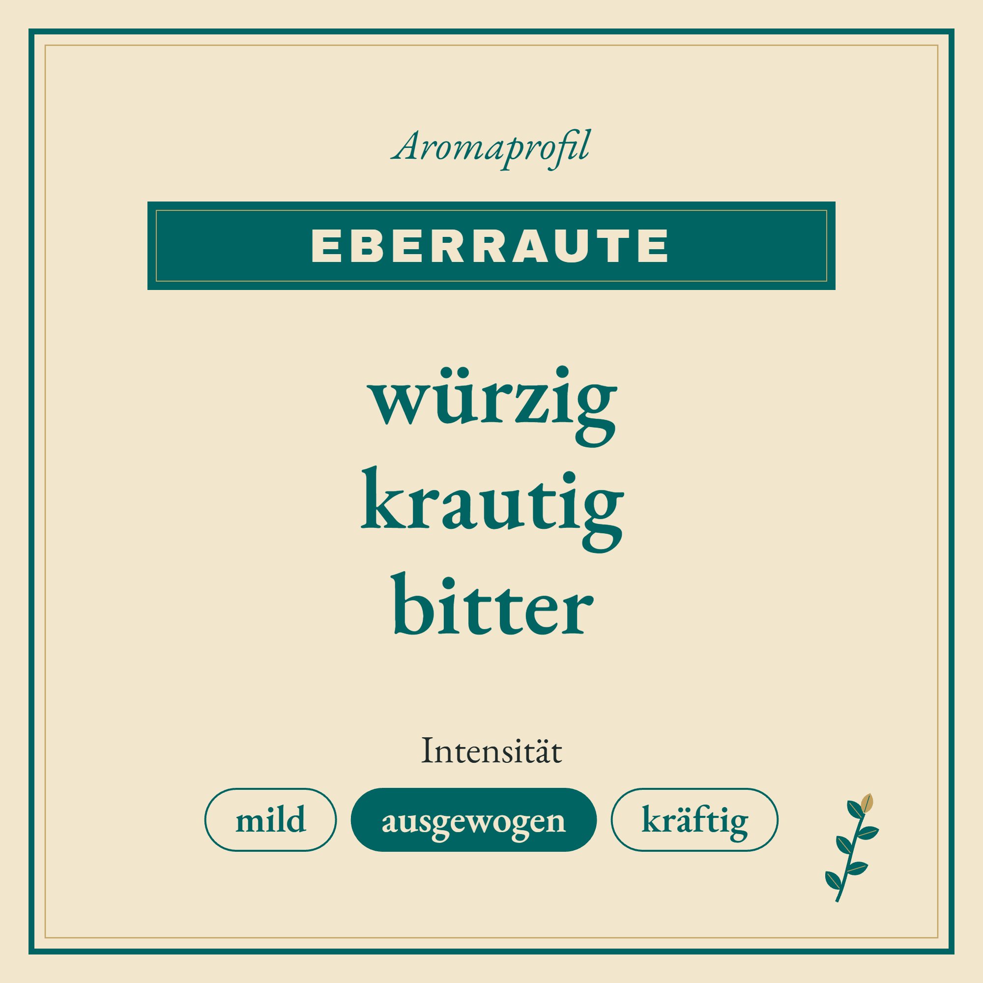 Aromaprofil Eberraute: würzig, krautig und bitter