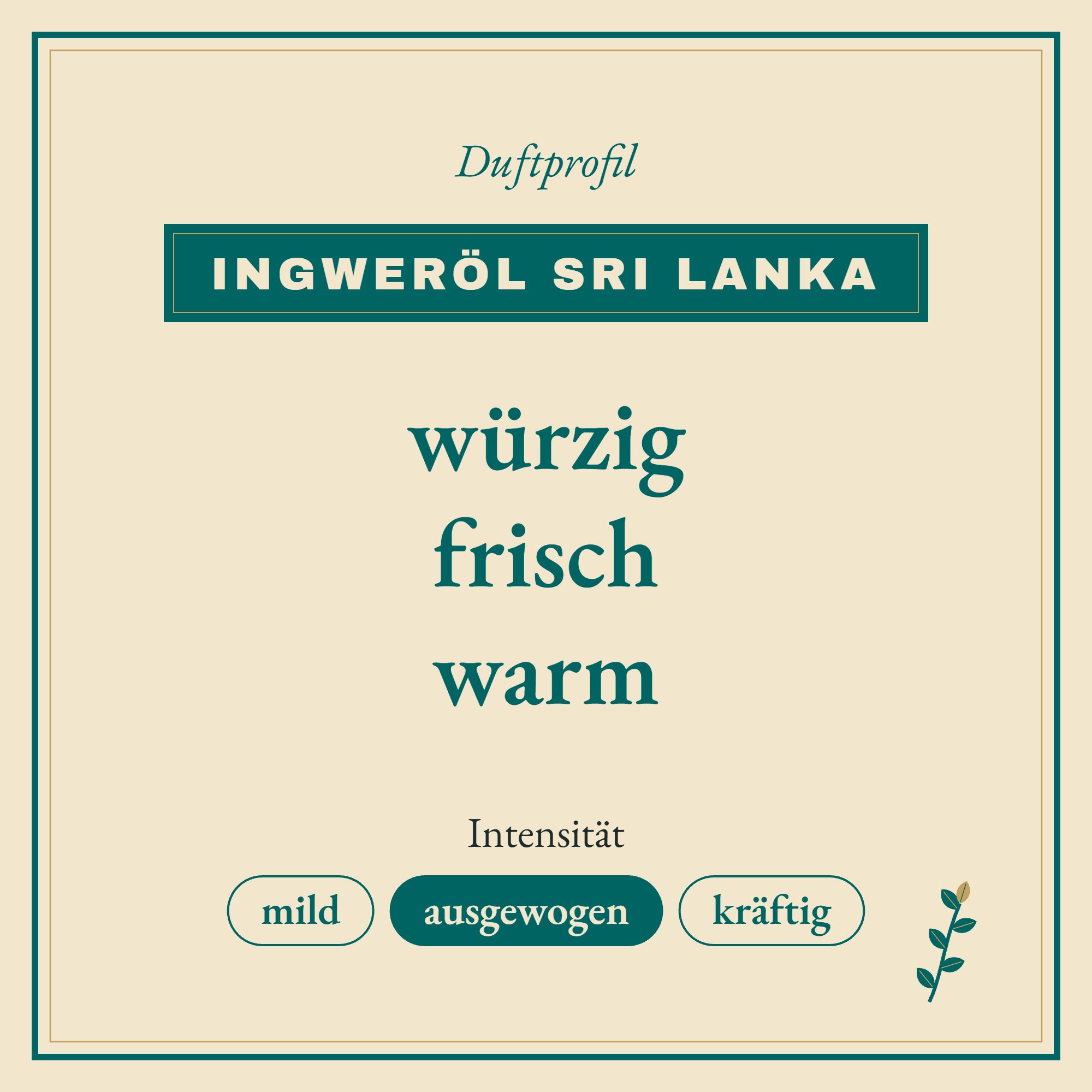 Duftprofil Ingweröl Sri Lanka: würzig, frisch und warm