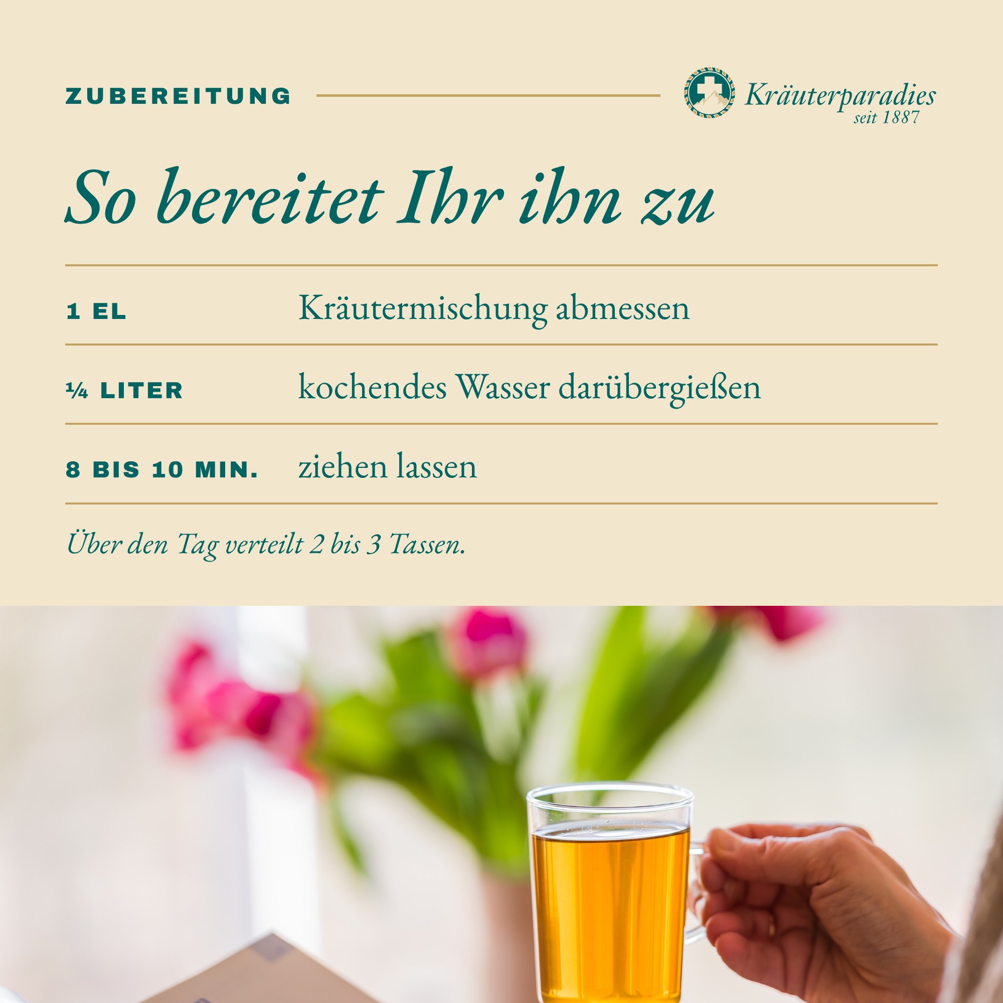 Fastentee: So bereitet Ihr ihn zu