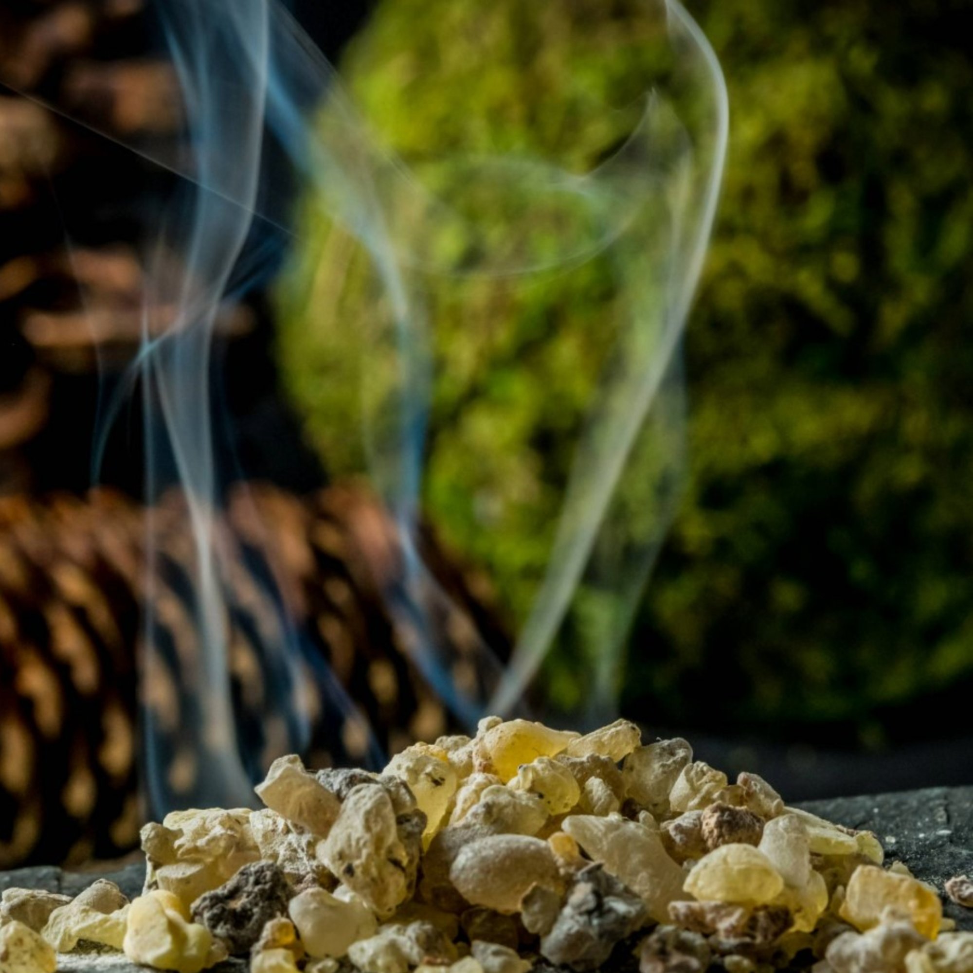 Weihrauch India Boswellia, 20 g – Kräuterparadies seit 1887