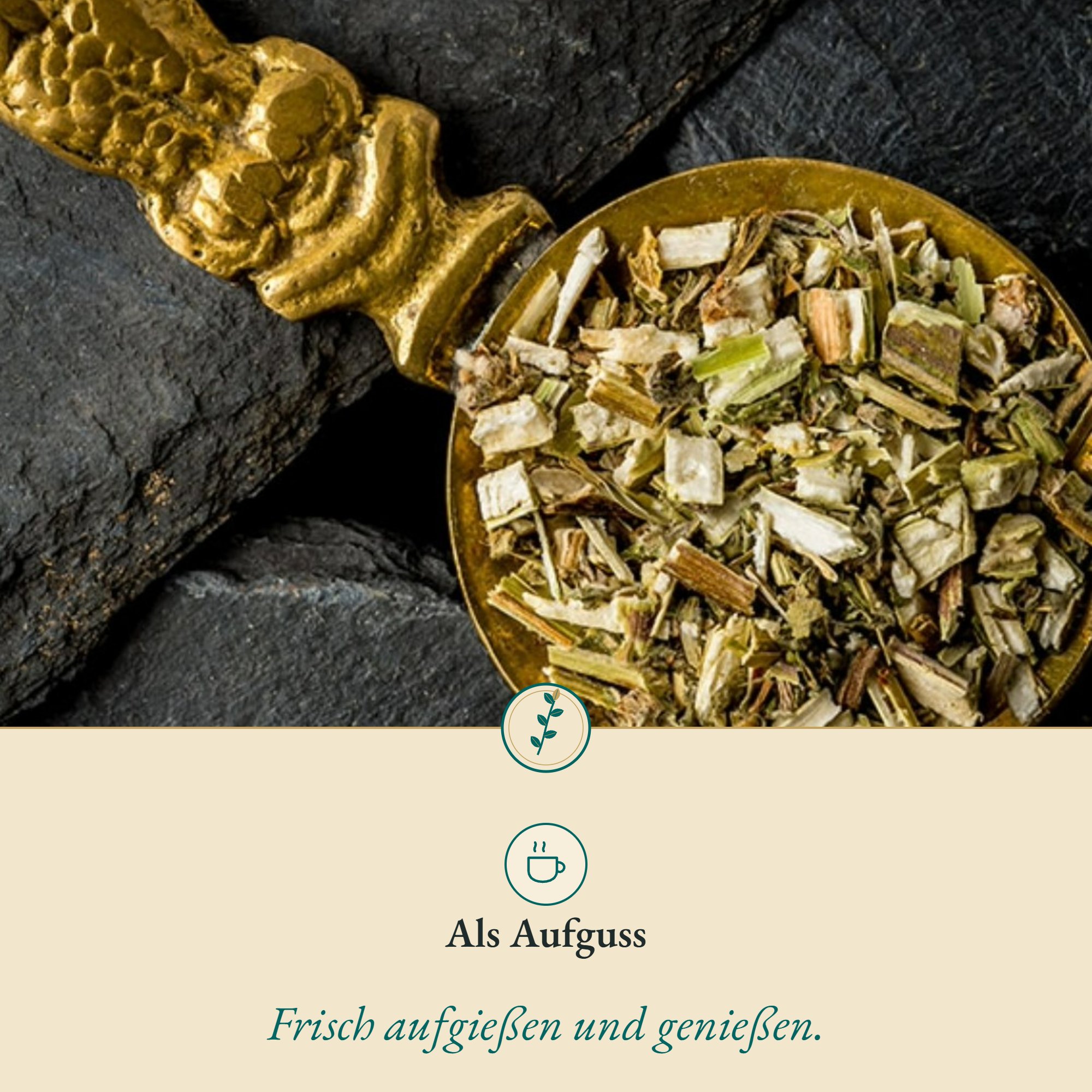 Anwendung Herzgespannkraut: als Aufguss