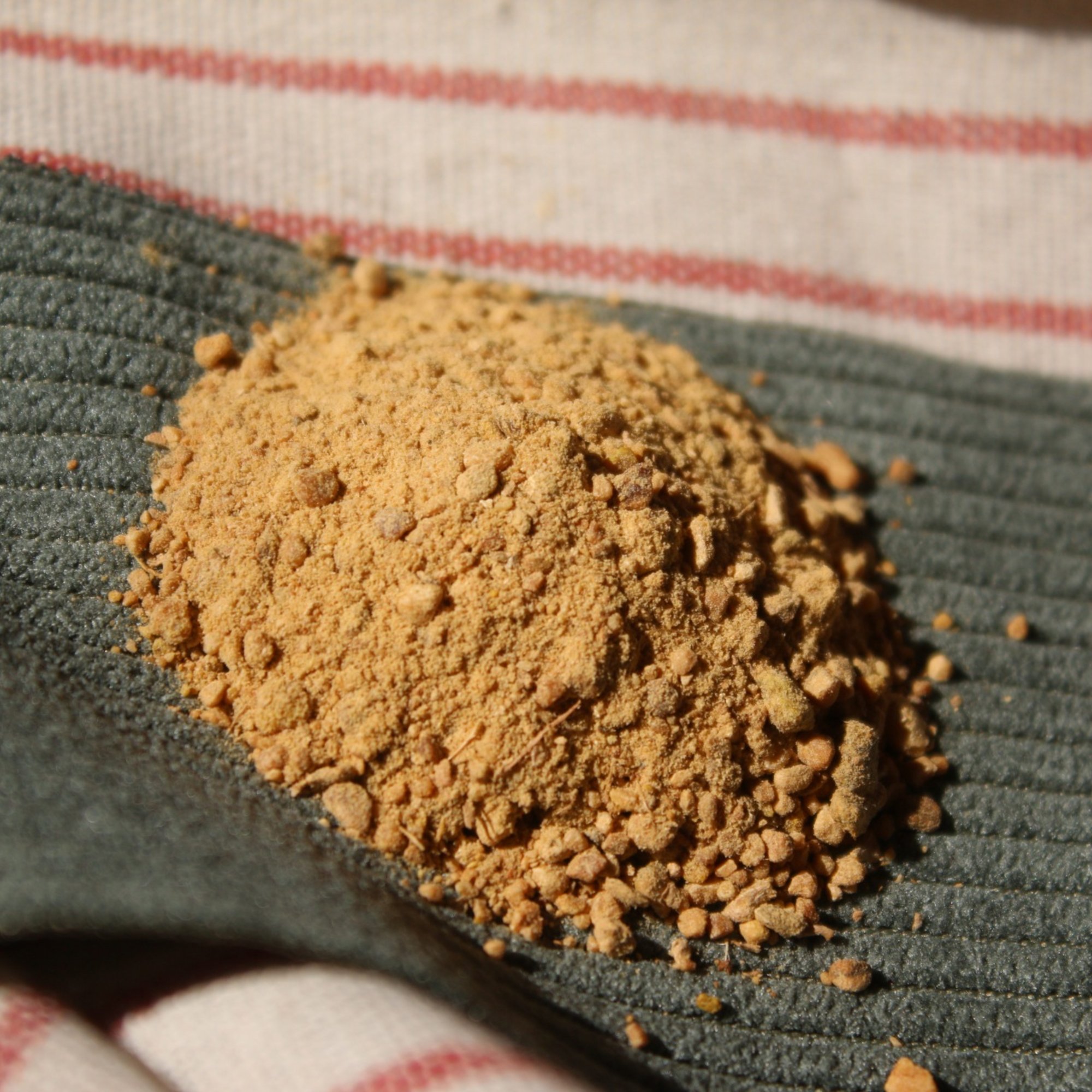Zitwerwurzel Pulver, 20 g – Kräuterparadies seit 1887