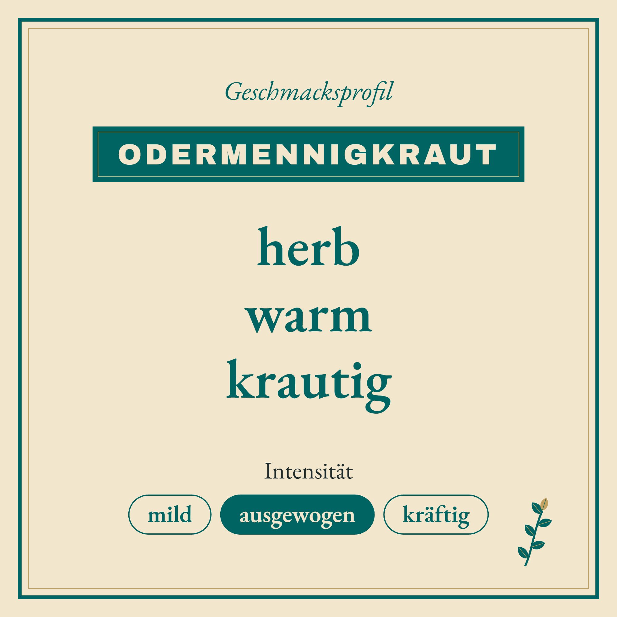 Geschmacksprofil Odermennigkraut: herb, warm und krautig
