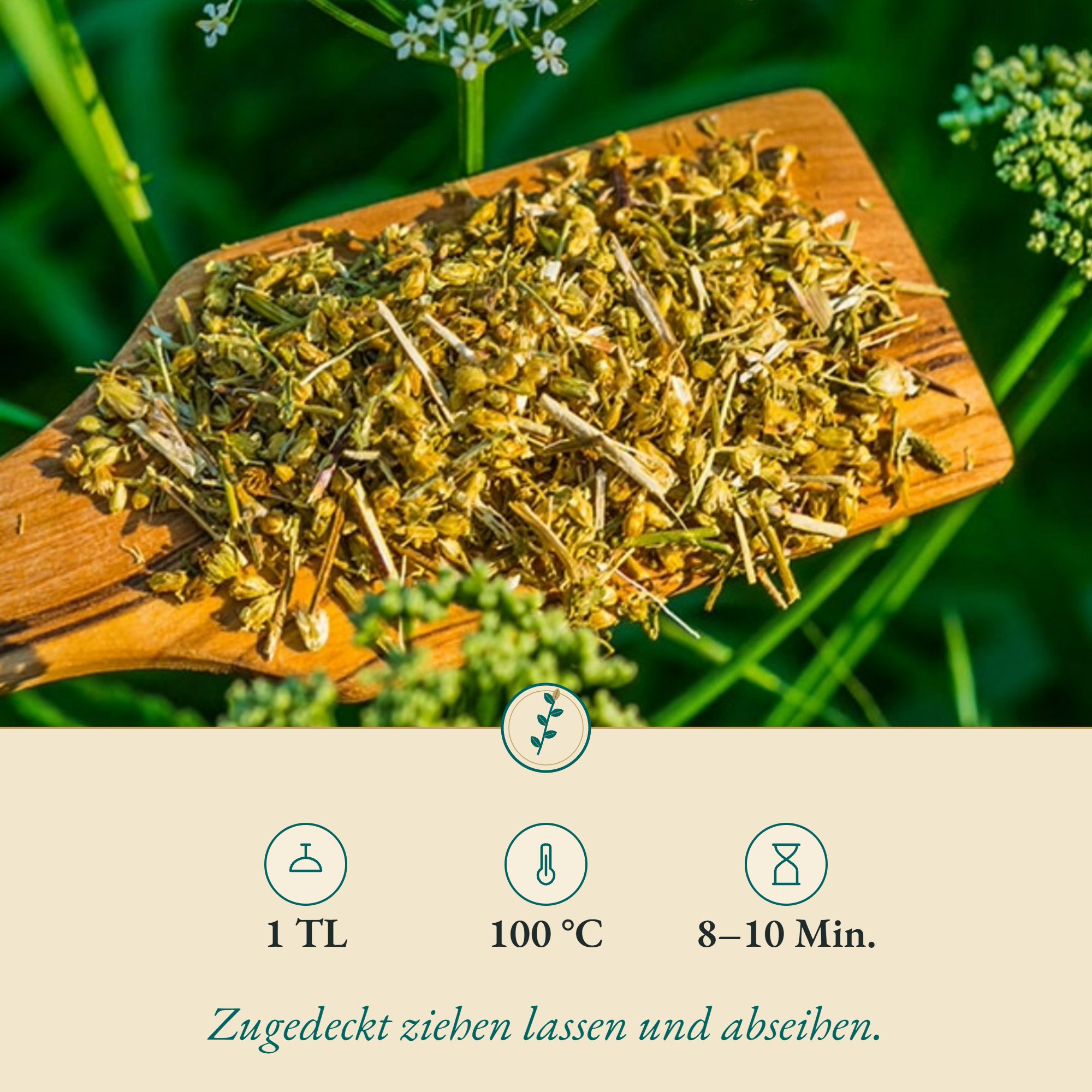 Zubereitung Schafgarbenblüte: 1 TL, 100 °C, 8–10 Min.
