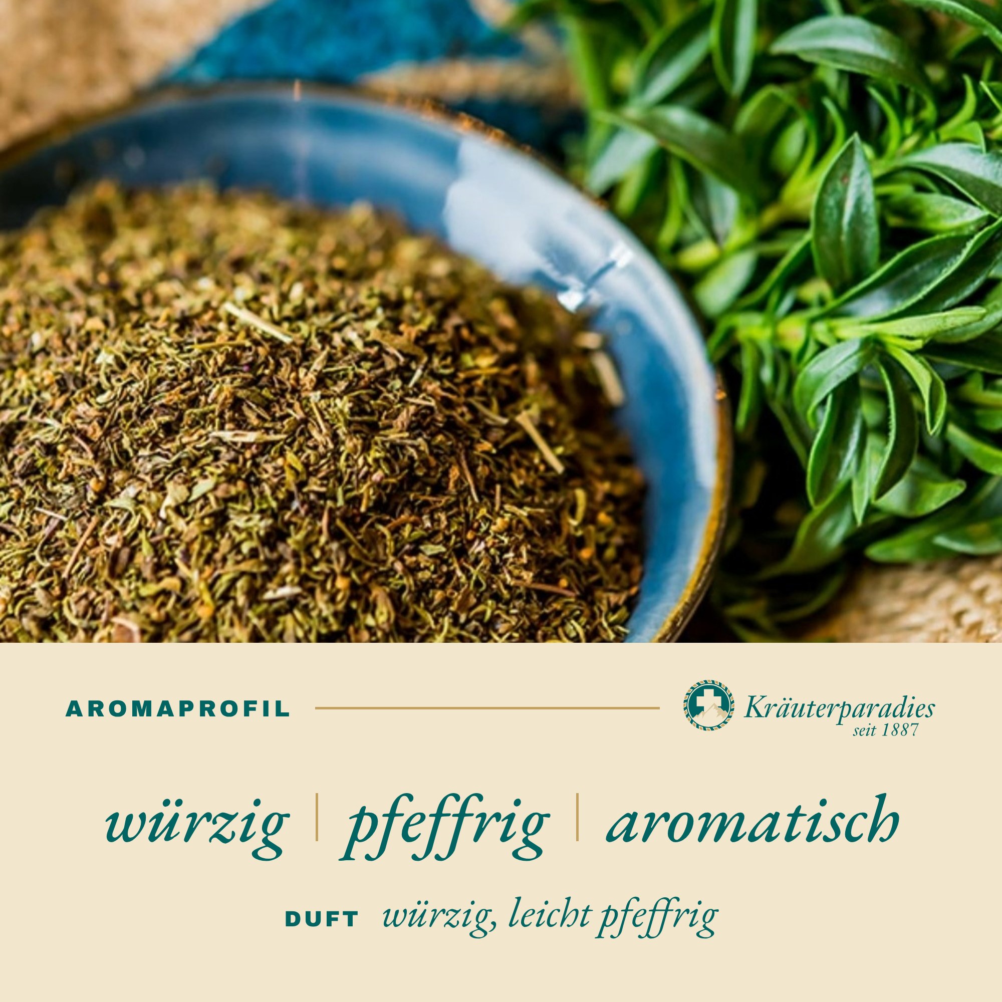 Bohnenkraut Aromaprofil: würzig, pfeffrig, aromatisch
