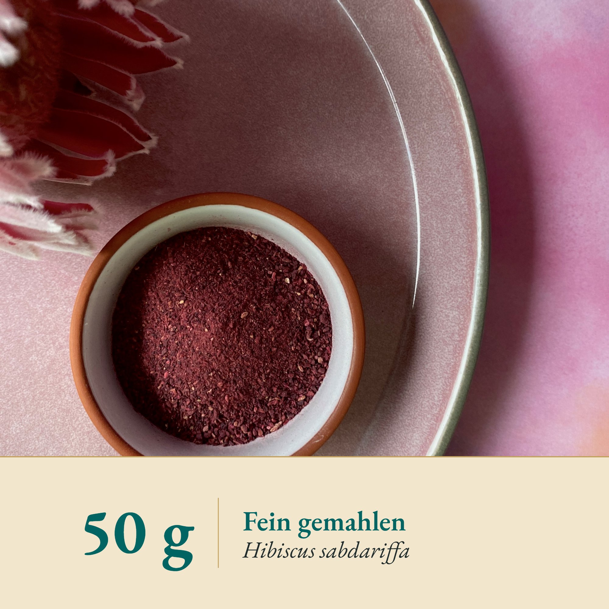 Nahaufnahme Hibiskus Pulver – Kräuterparadies seit 1887
