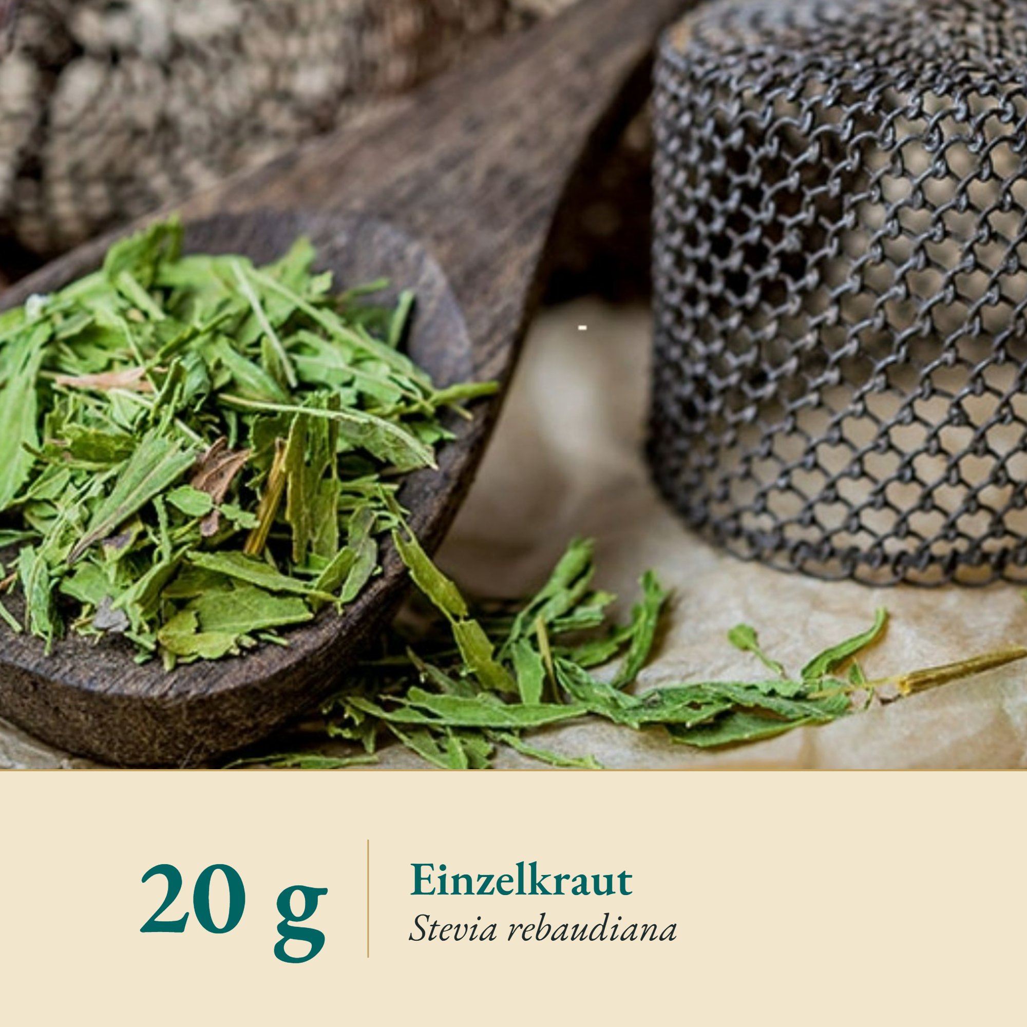Nahaufnahme Süßkraut-Stevia – Kräuterparadies seit 1887