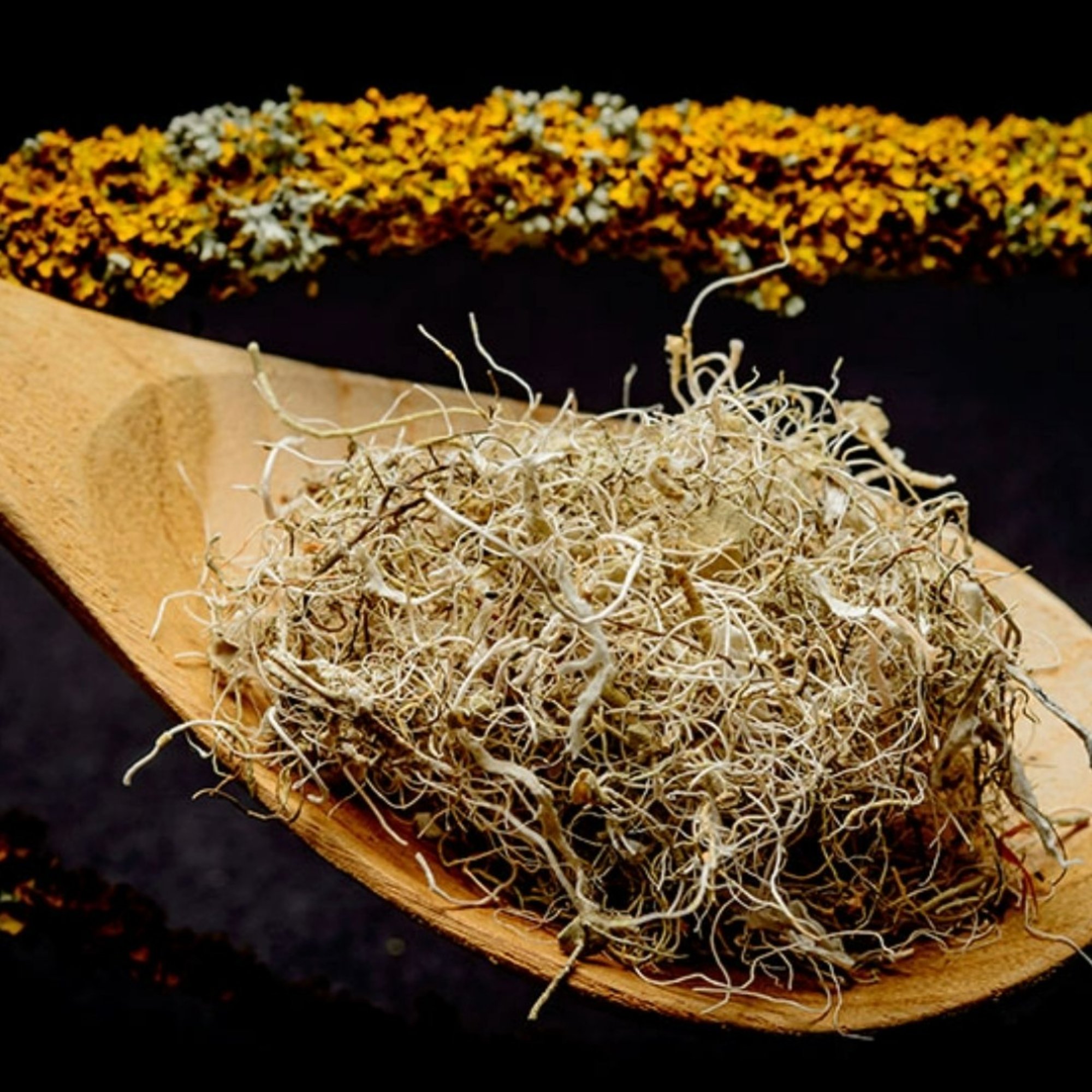 Bartflechte, 20 g – Kräuterparadies seit 1887