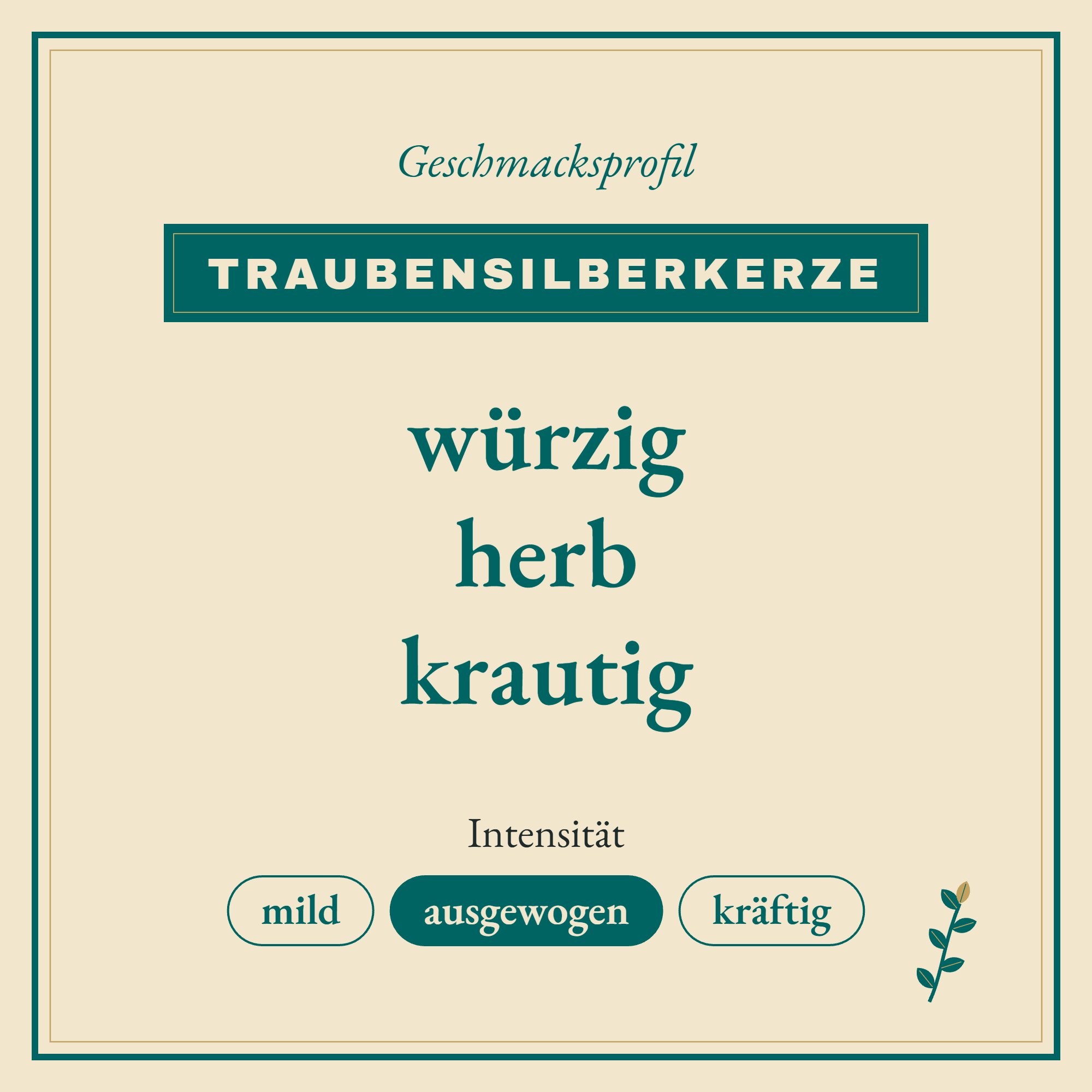 Geschmacksprofil Traubensilberkerze: würzig, herb und krautig