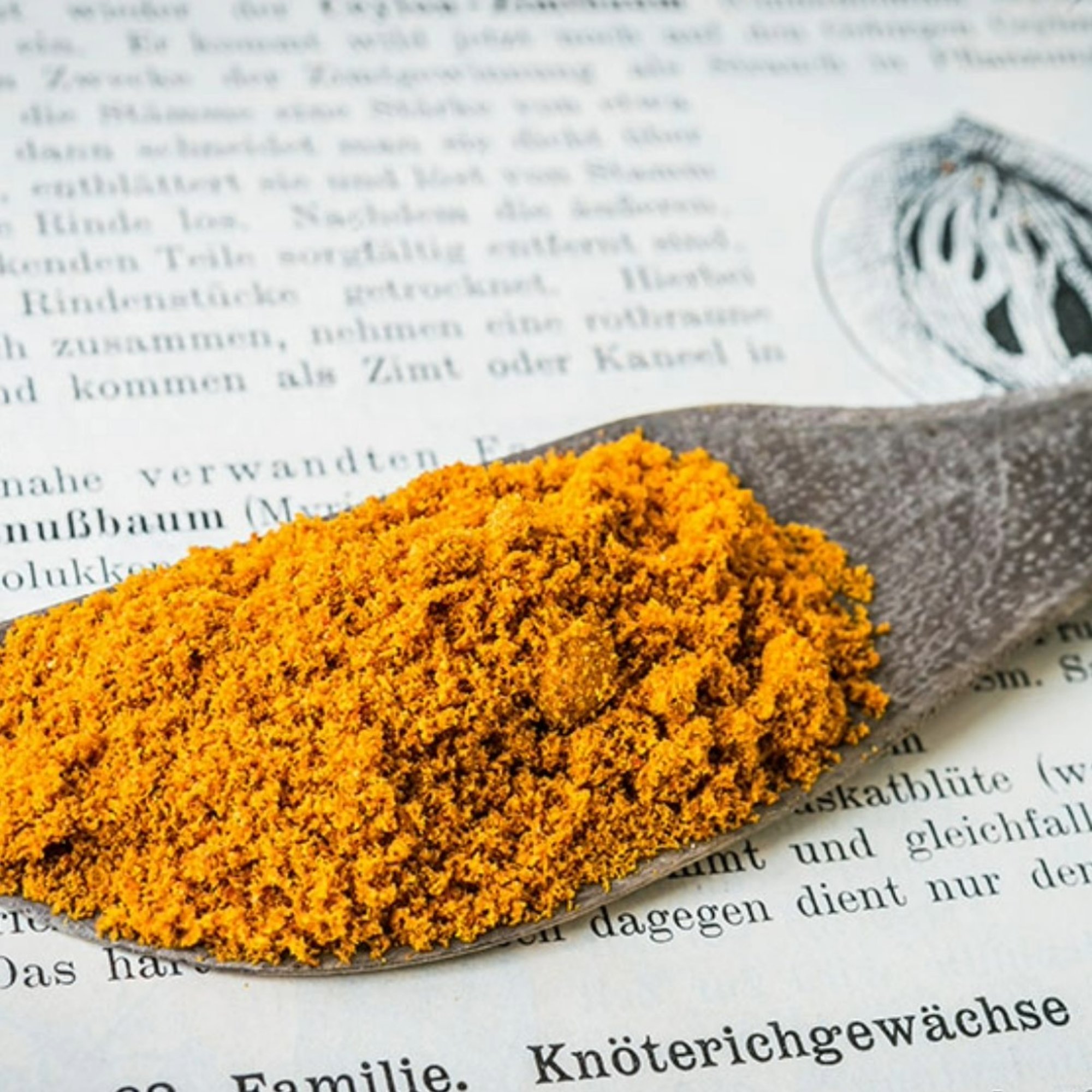 Muskatblüte/Macisblüte gemahlen, 20 g – Kräuterparadies seit 1887