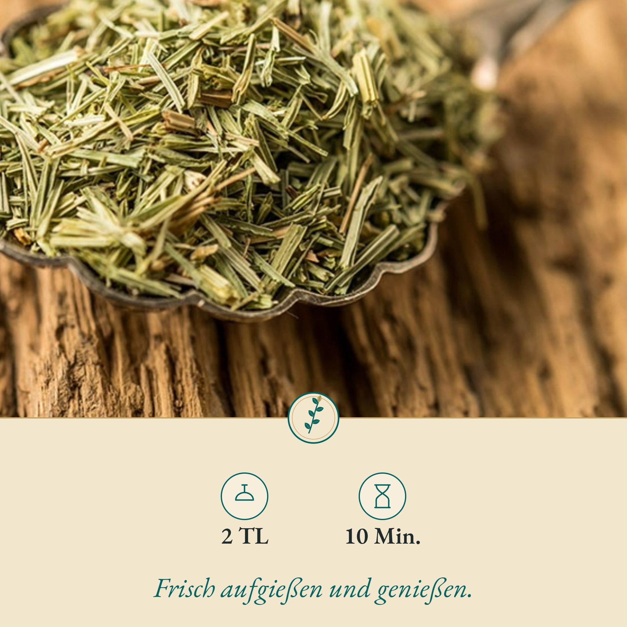 Zubereitung Zinnkraut geschn./Ackerschachtelhalm: 2 TL, 10 Min.