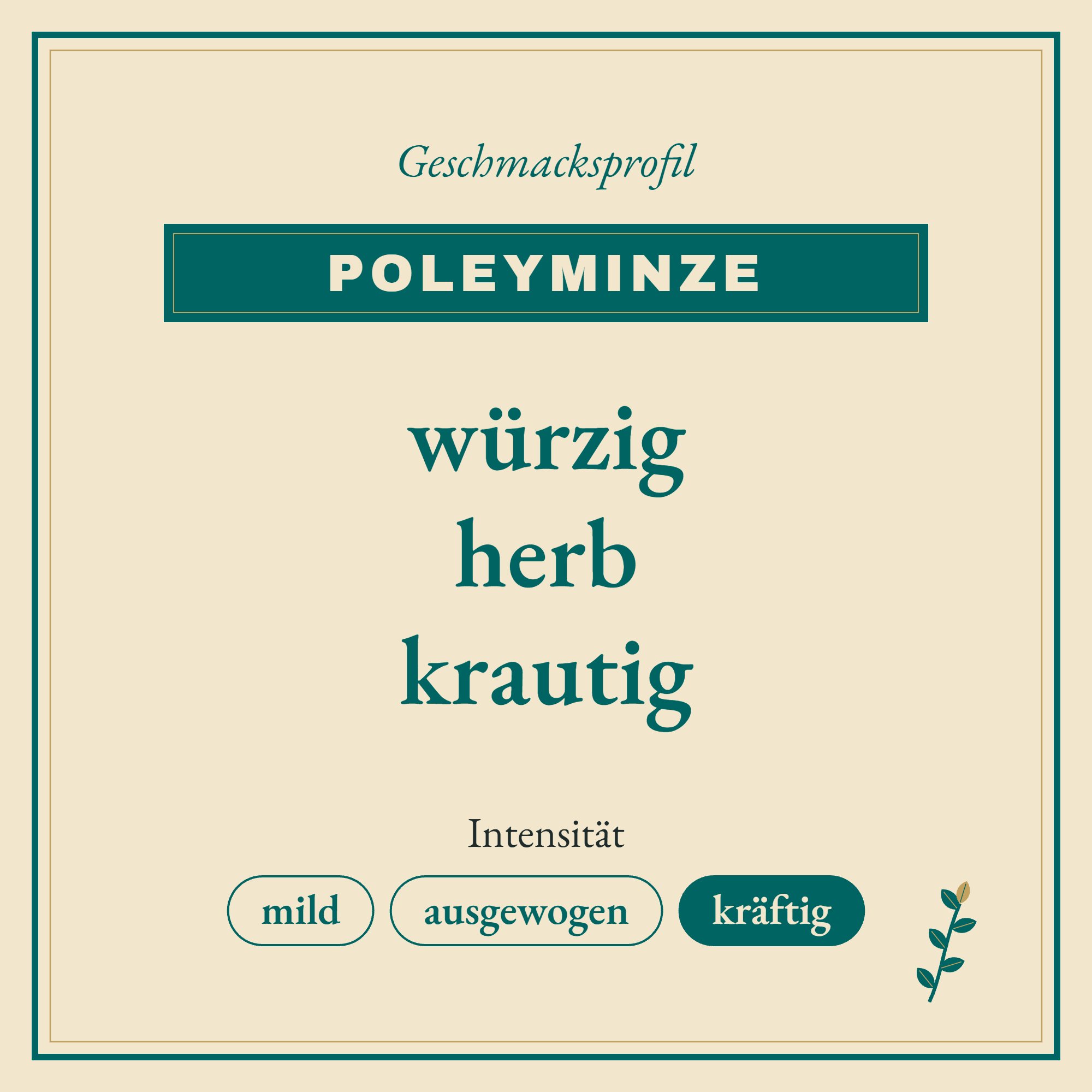 Geschmacksprofil Poleyminze: würzig, herb und krautig