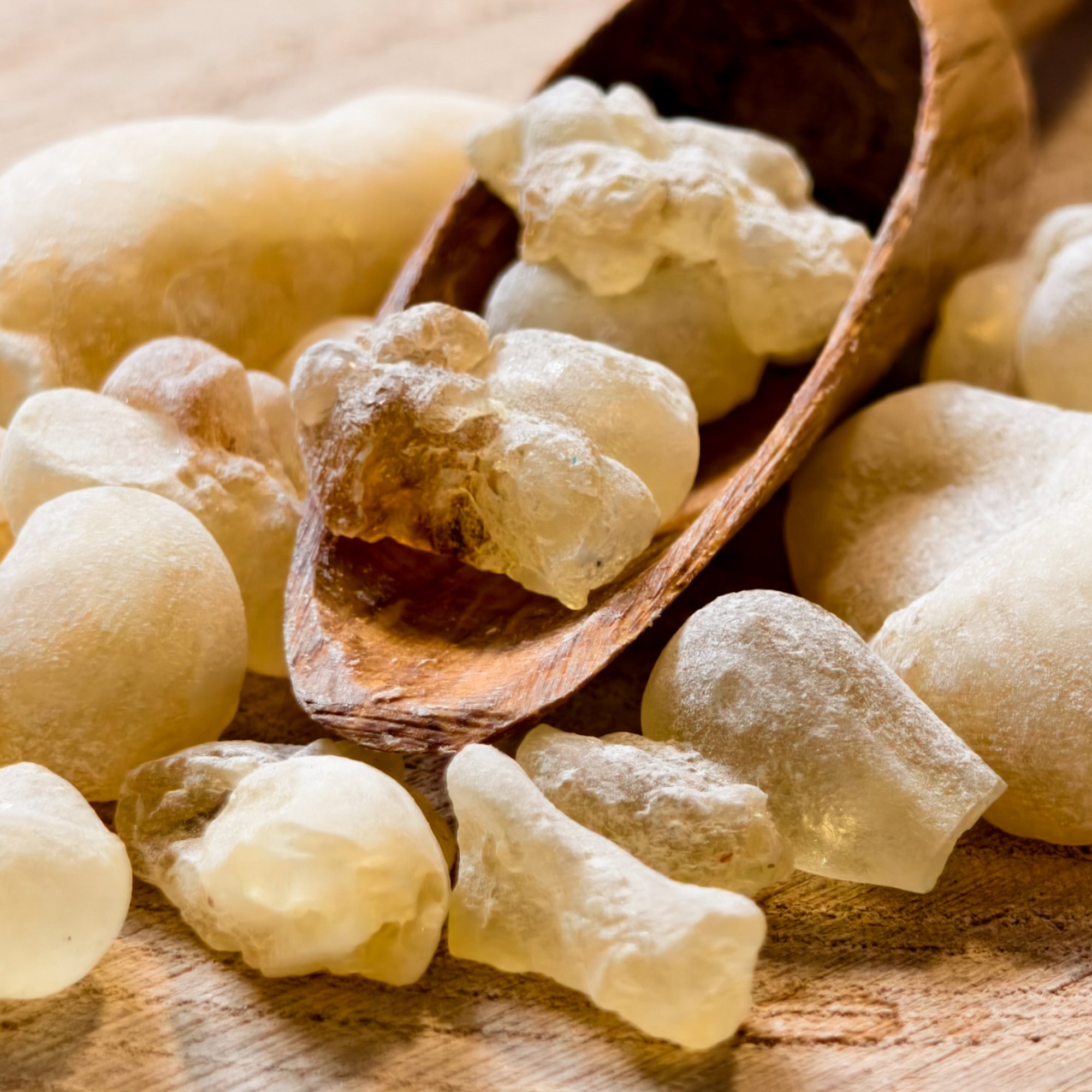 Weihrauch Hojari weiß Oman, 20 g – Kräuterparadies seit 1887
