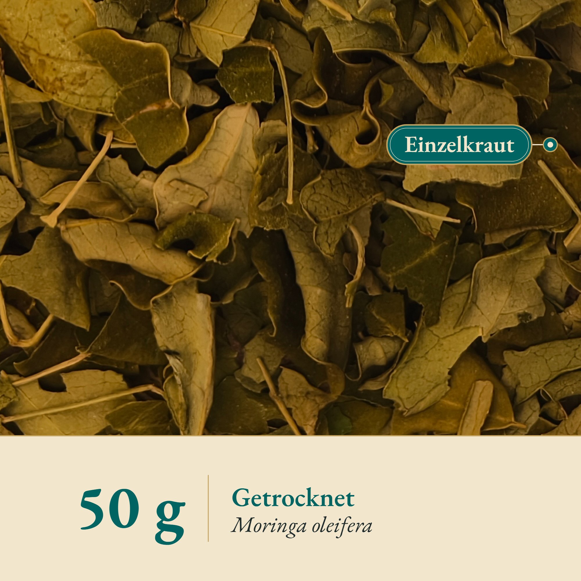 Nahaufnahme Moringablätter Moringa oleifera Folia – Kräuterparadies seit 1887