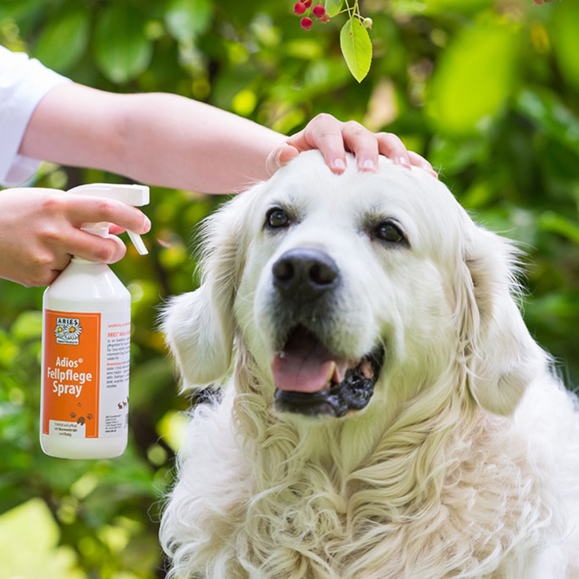 Adios Fellpflege Spray, 500 ml – Kräuterparadies seit 1887