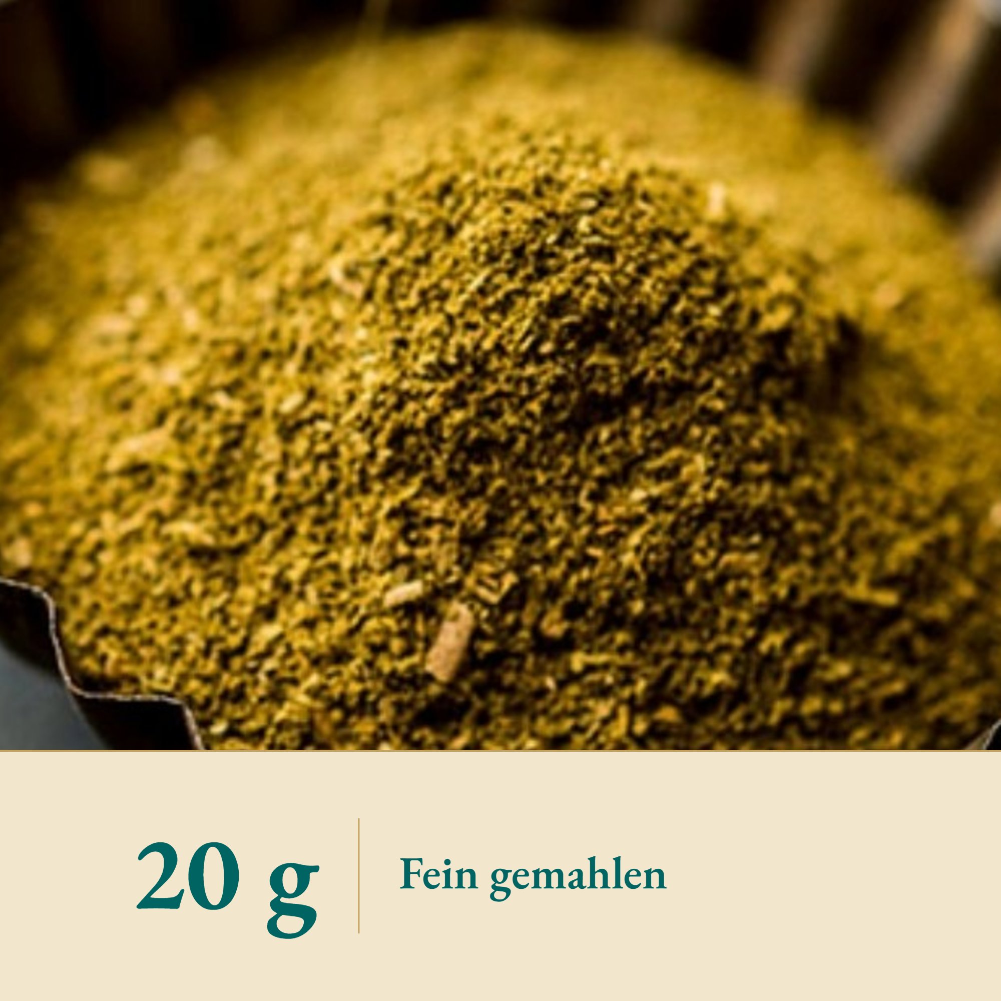 Nahaufnahme Ginkgoblätter Pulver – Kräuterparadies seit 1887