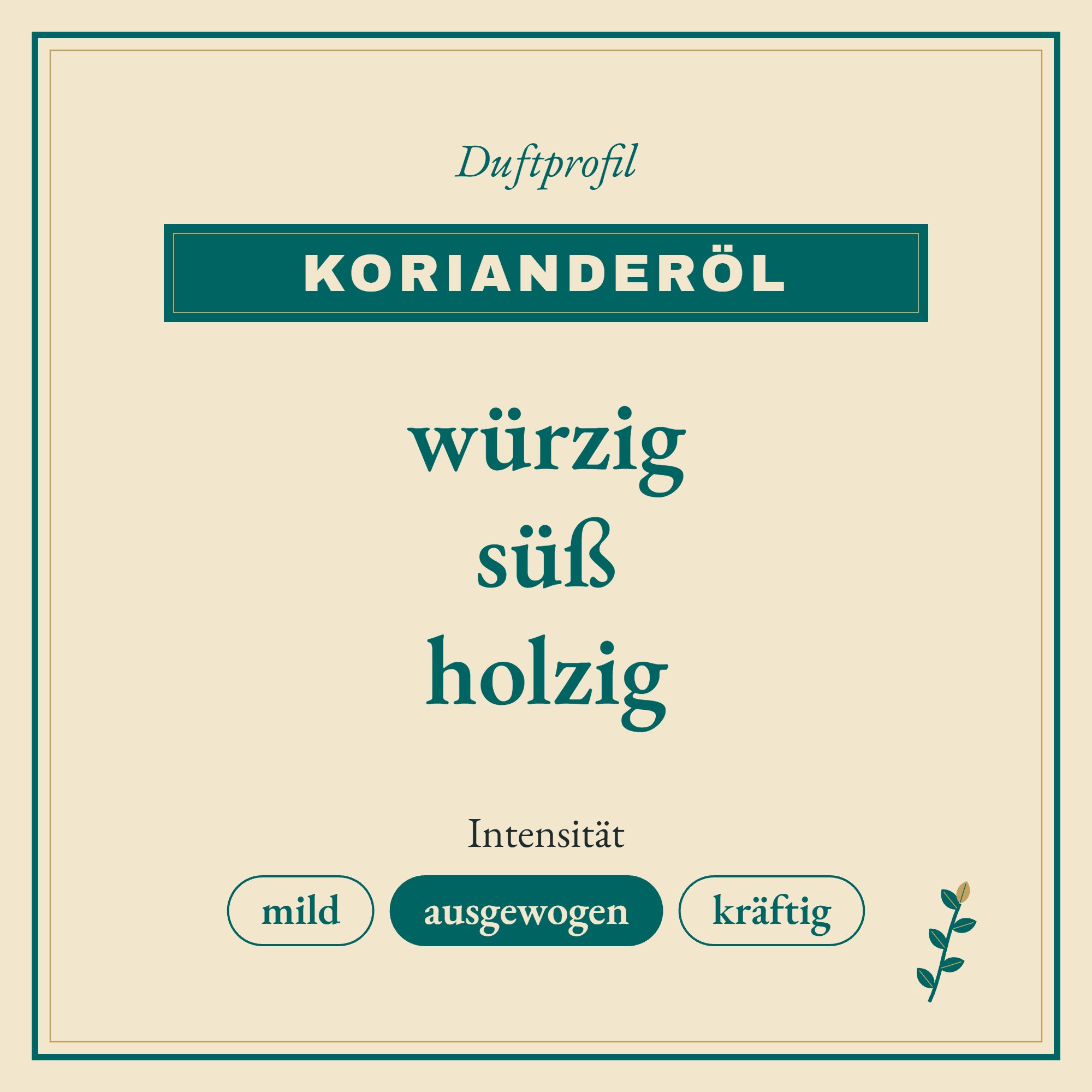 Duftprofil Korianderöl: würzig, süß und holzig