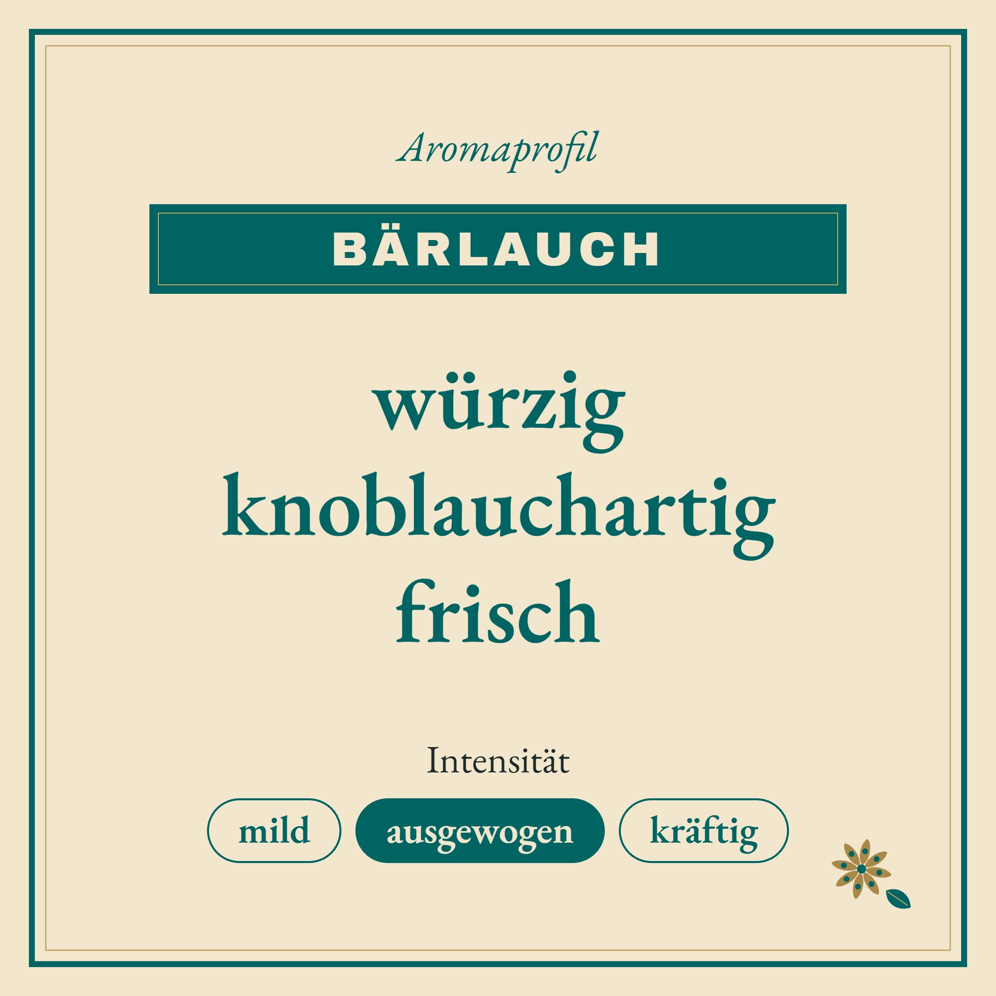 Aromaprofil Bärlauch: würzig, knoblauchartig und frisch