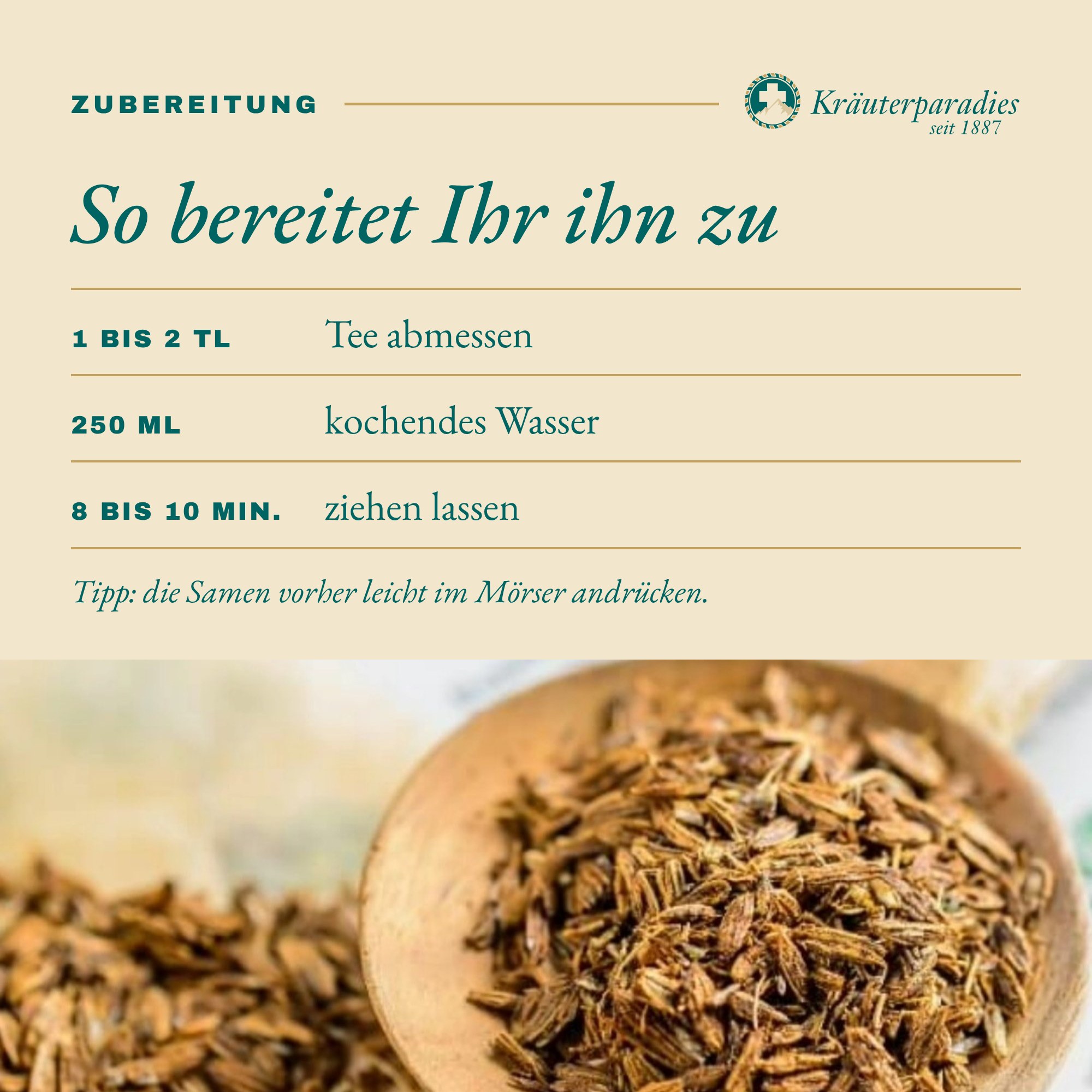 Fenchel Anis Kümmel Tee: So bereitet Ihr ihn zu
