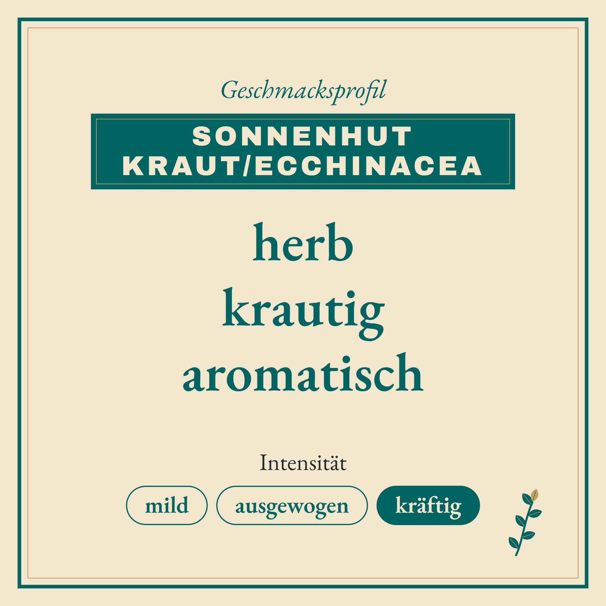 Geschmacksprofil Sonnenhut Kraut/Ecchinacea: herb, krautig und aromatisch