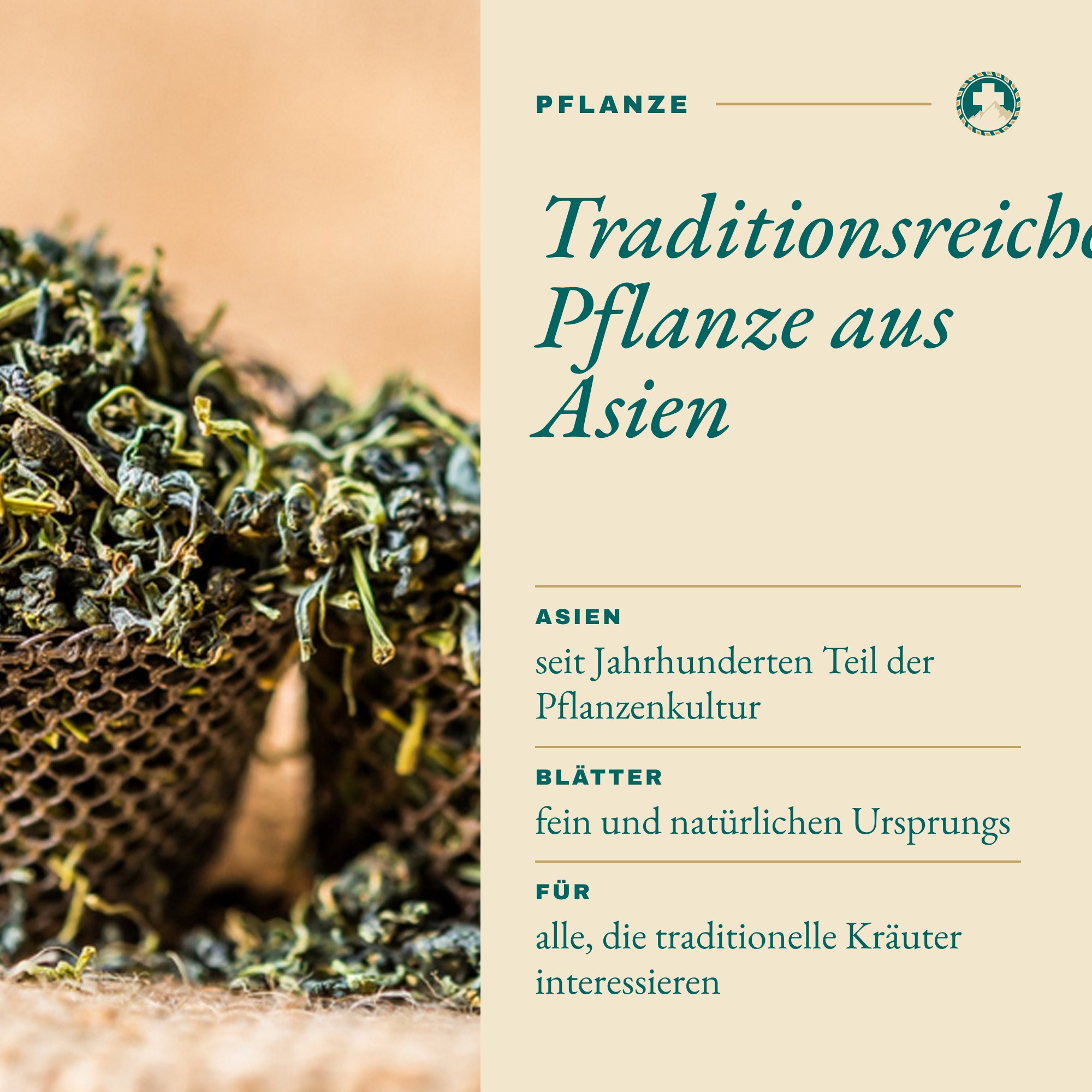 Jiaogulankraut: Traditionsreiche Pflanze aus Asien