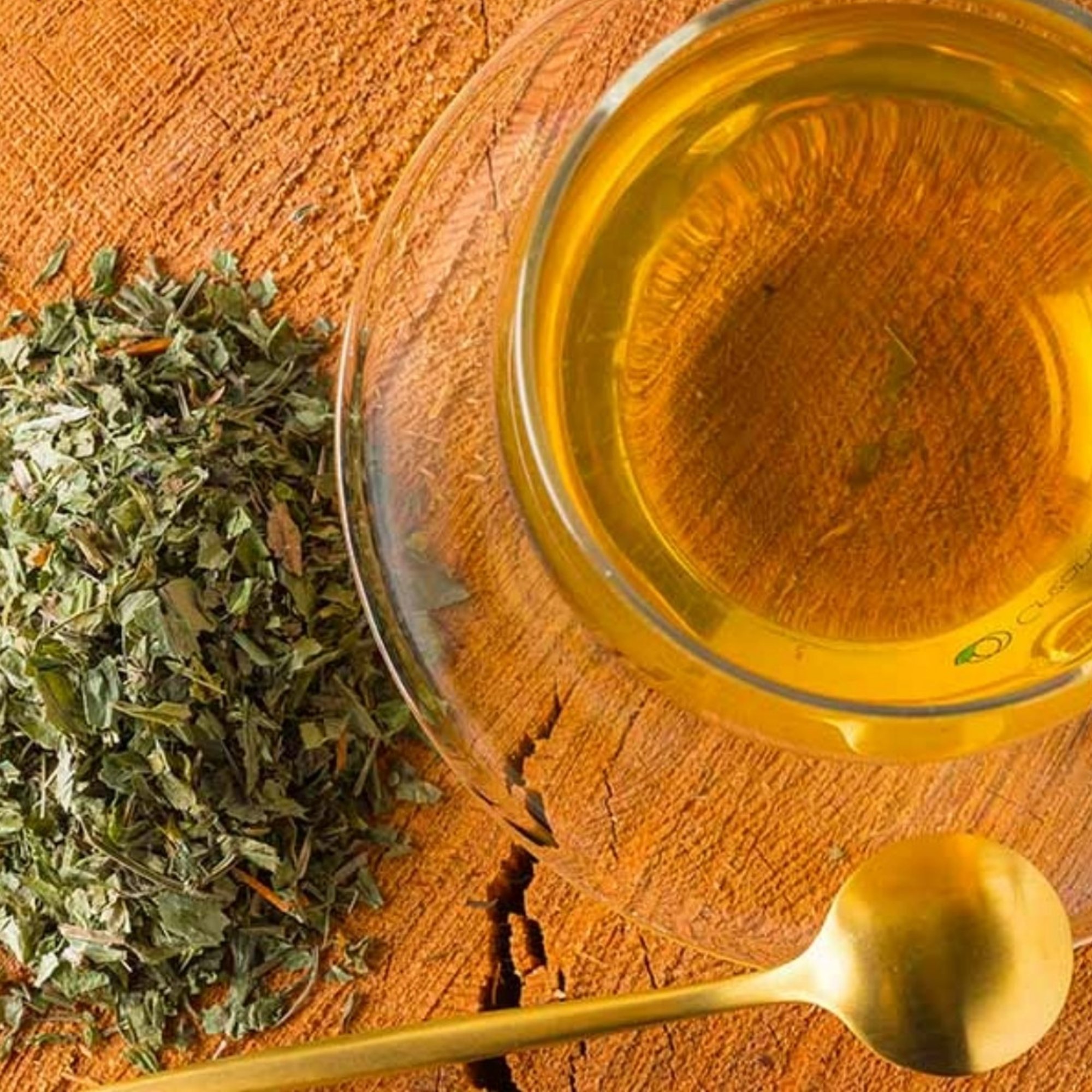 Waldmeister, 20 g – Kräuterparadies seit 1887