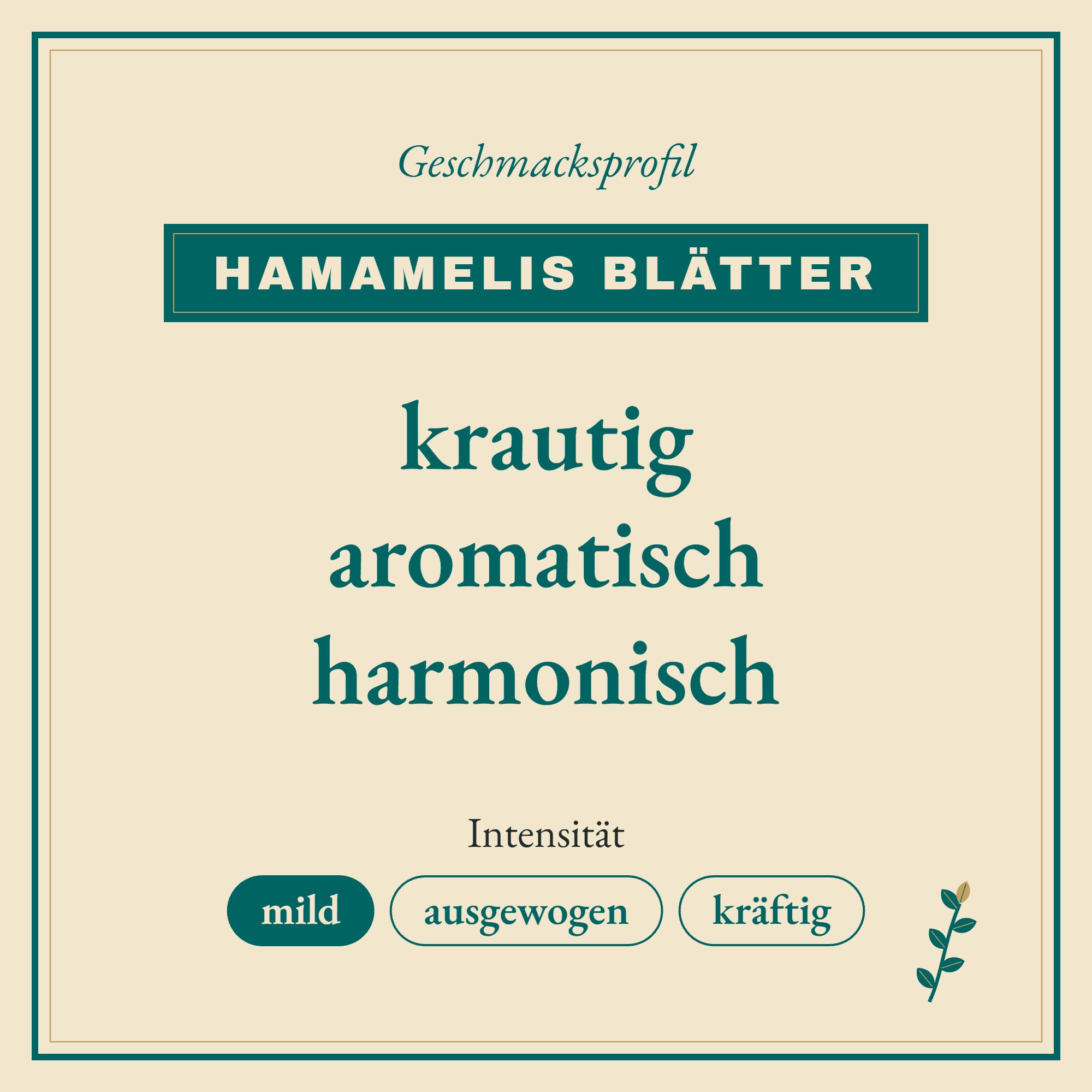 Geschmacksprofil Hamamelis Blätter: krautig, aromatisch und harmonisch