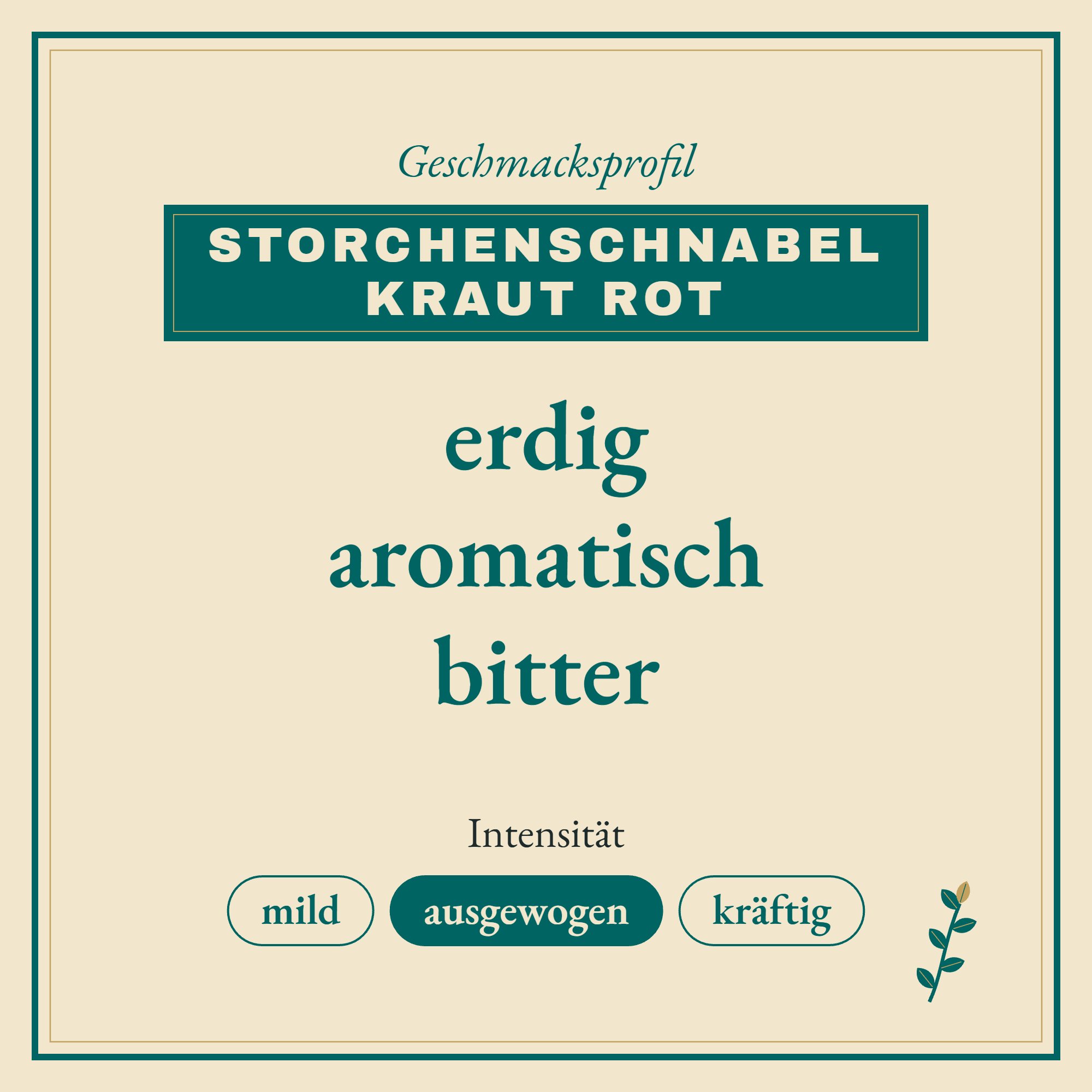 Geschmacksprofil Storchenschnabel Kraut rot: erdig, aromatisch und bitter