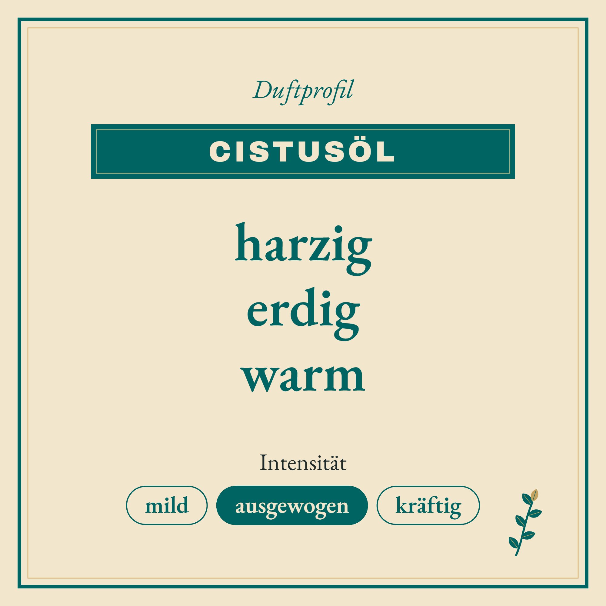 Duftprofil Cistusöl: harzig, erdig und warm