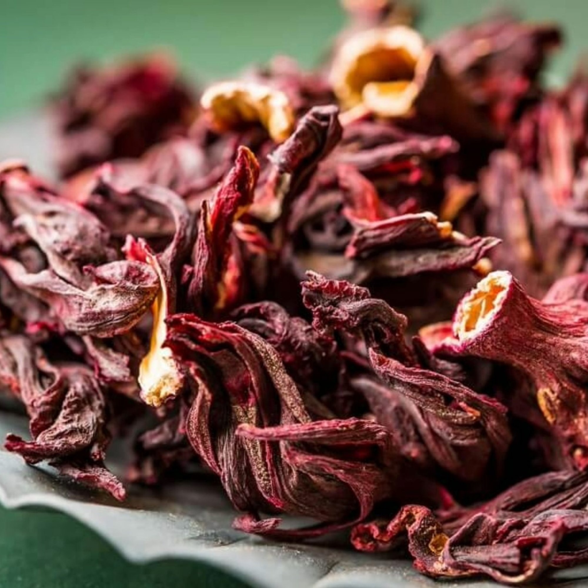Malve rot / Hibiscus von Kräuterparadies, Produktfoto