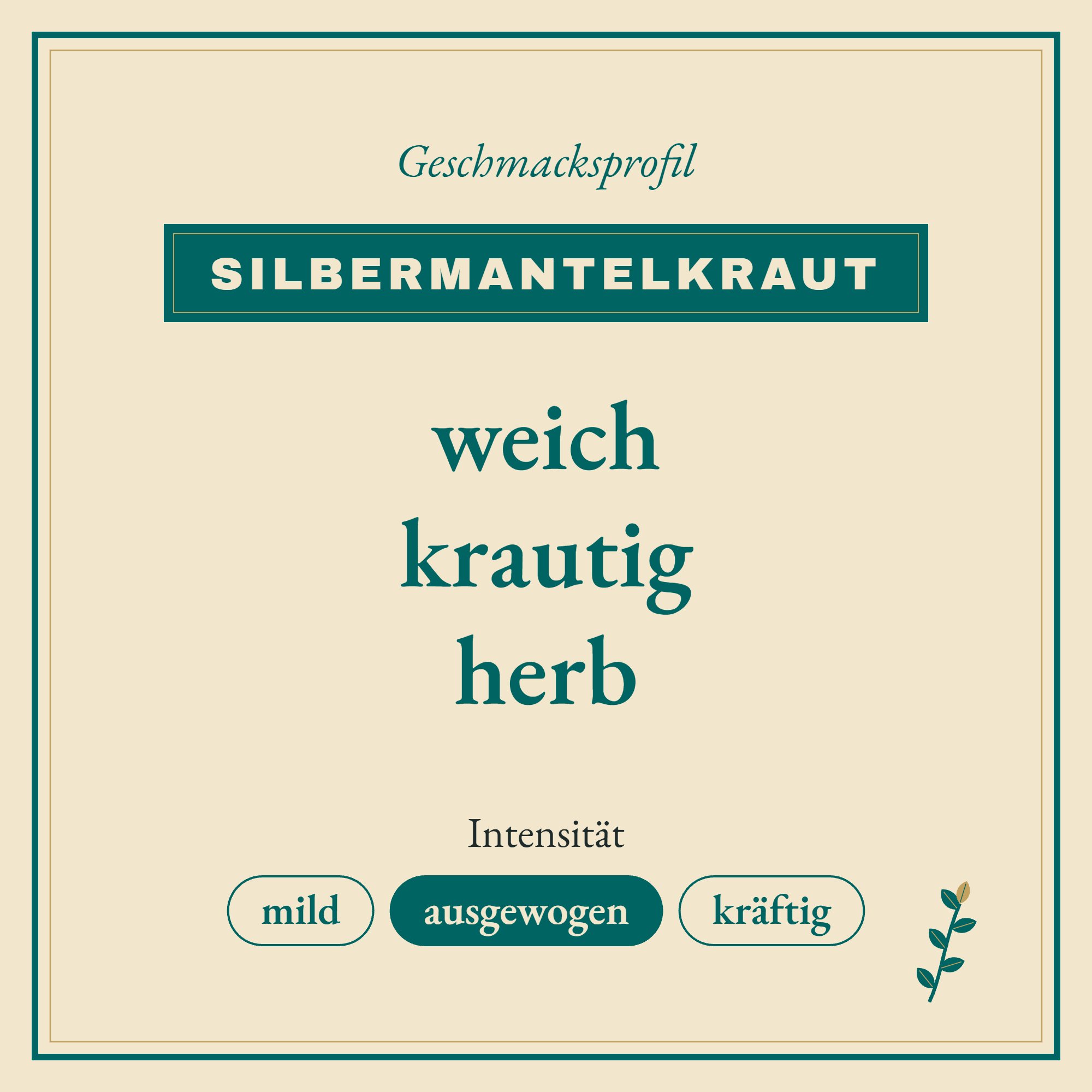 Geschmacksprofil Silbermantelkraut: weich, krautig und herb