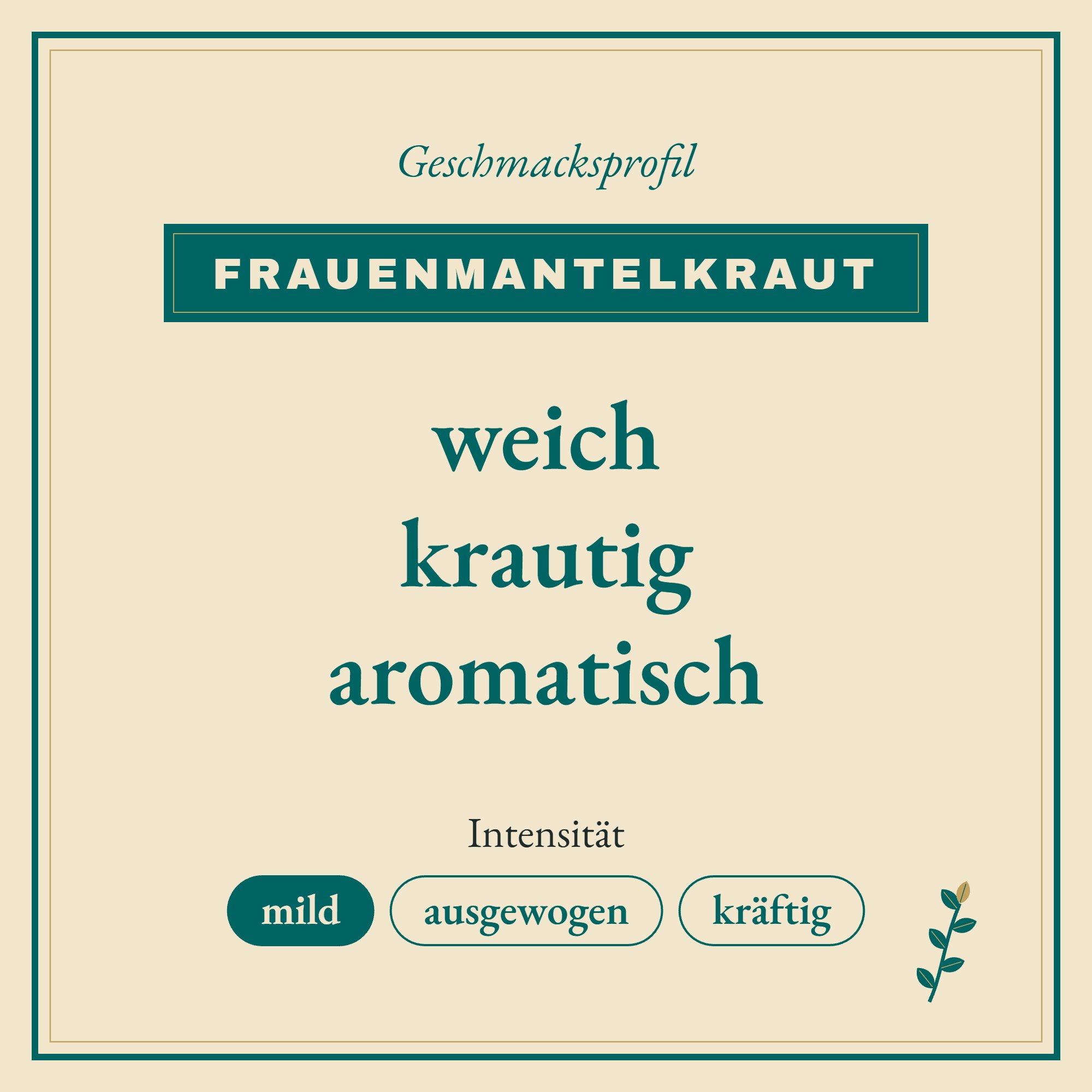 Geschmacksprofil Frauenmantelkraut: weich, krautig und aromatisch