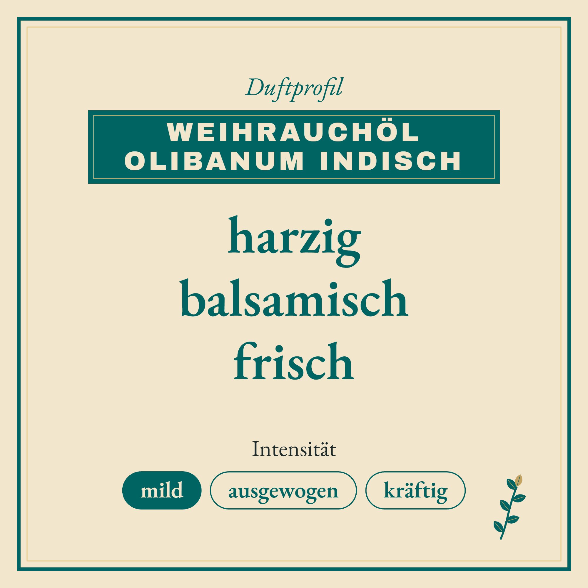 Duftprofil Weihrauchöl Olibanum indisch: harzig, balsamisch und frisch
