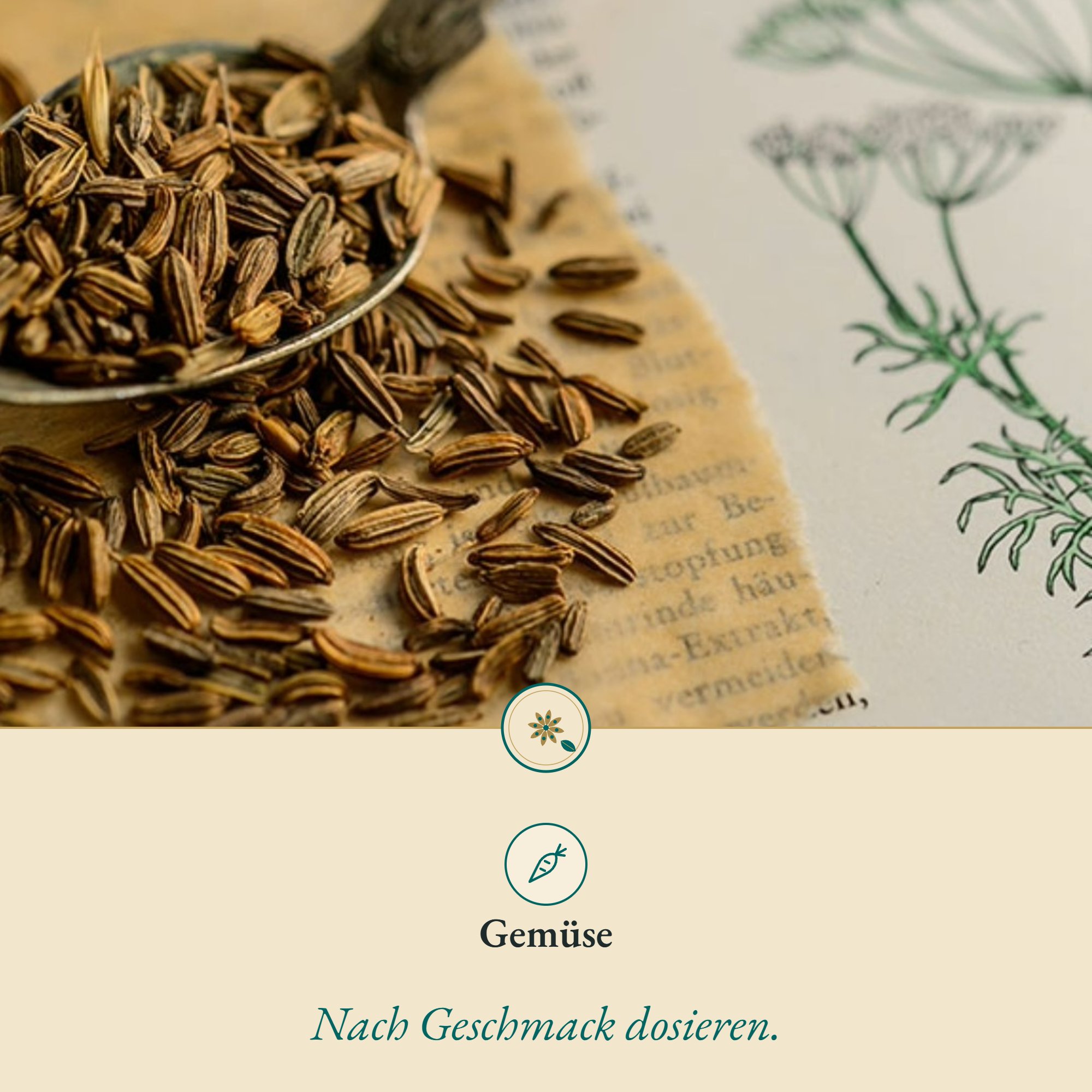 Fenchel passt zu Gemüse