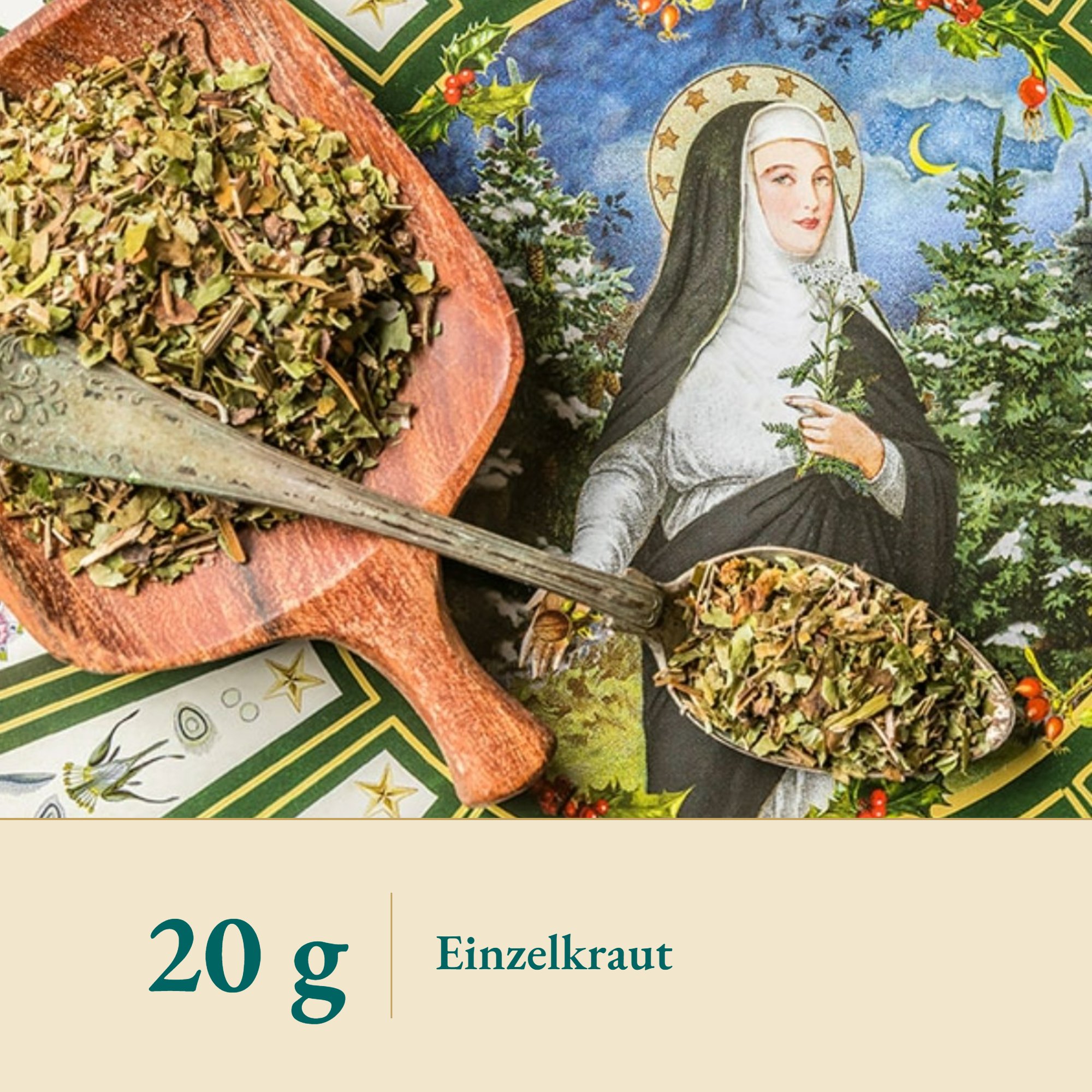 Nahaufnahme Sanikel/Heiligenkraut – Kräuterparadies seit 1887