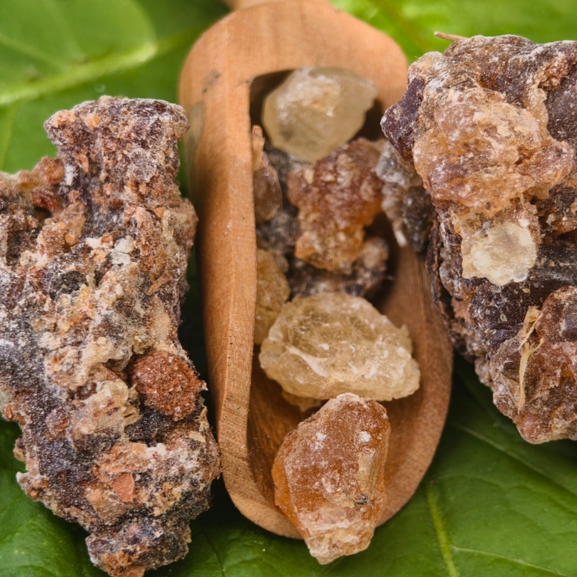 Weihrauch Kenia neglecta, 25 g – Kräuterparadies seit 1887