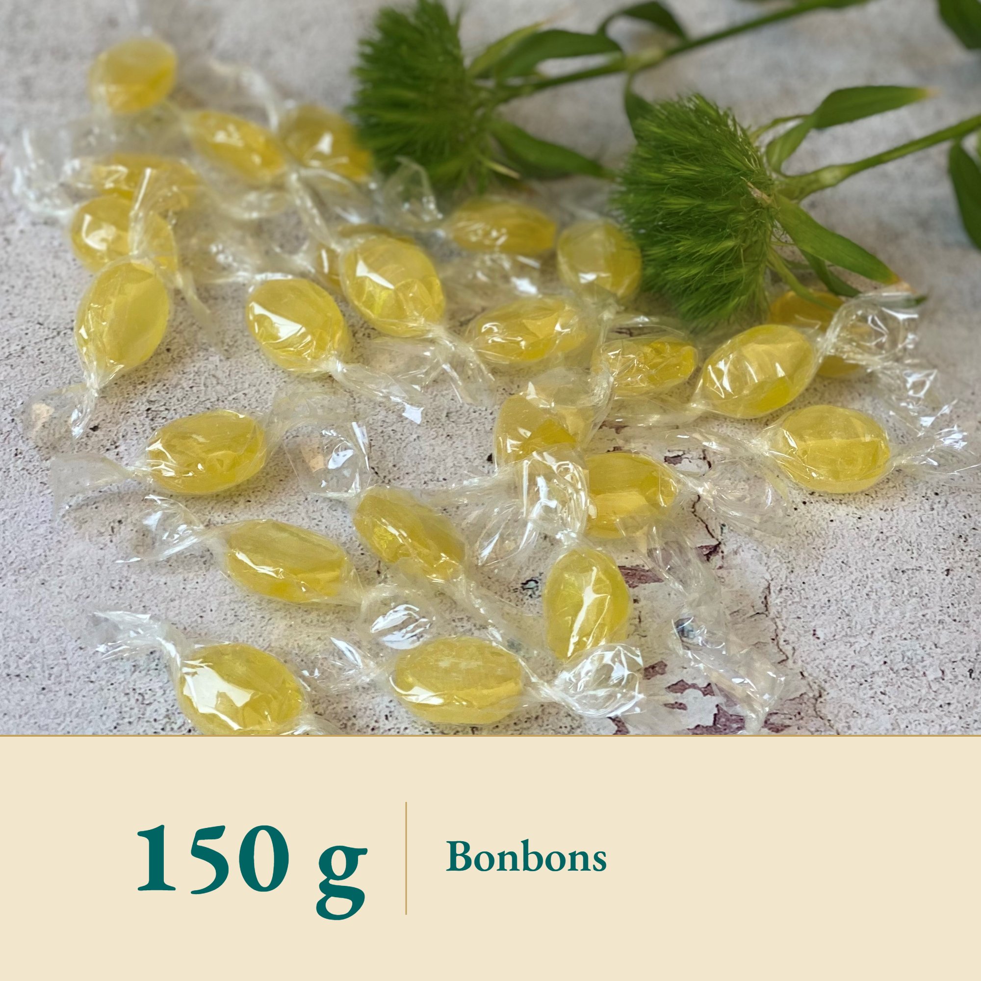 Nahaufnahme Anis-Fenchel Bonbon zuckerfrei – Kräuterparadies seit 1887