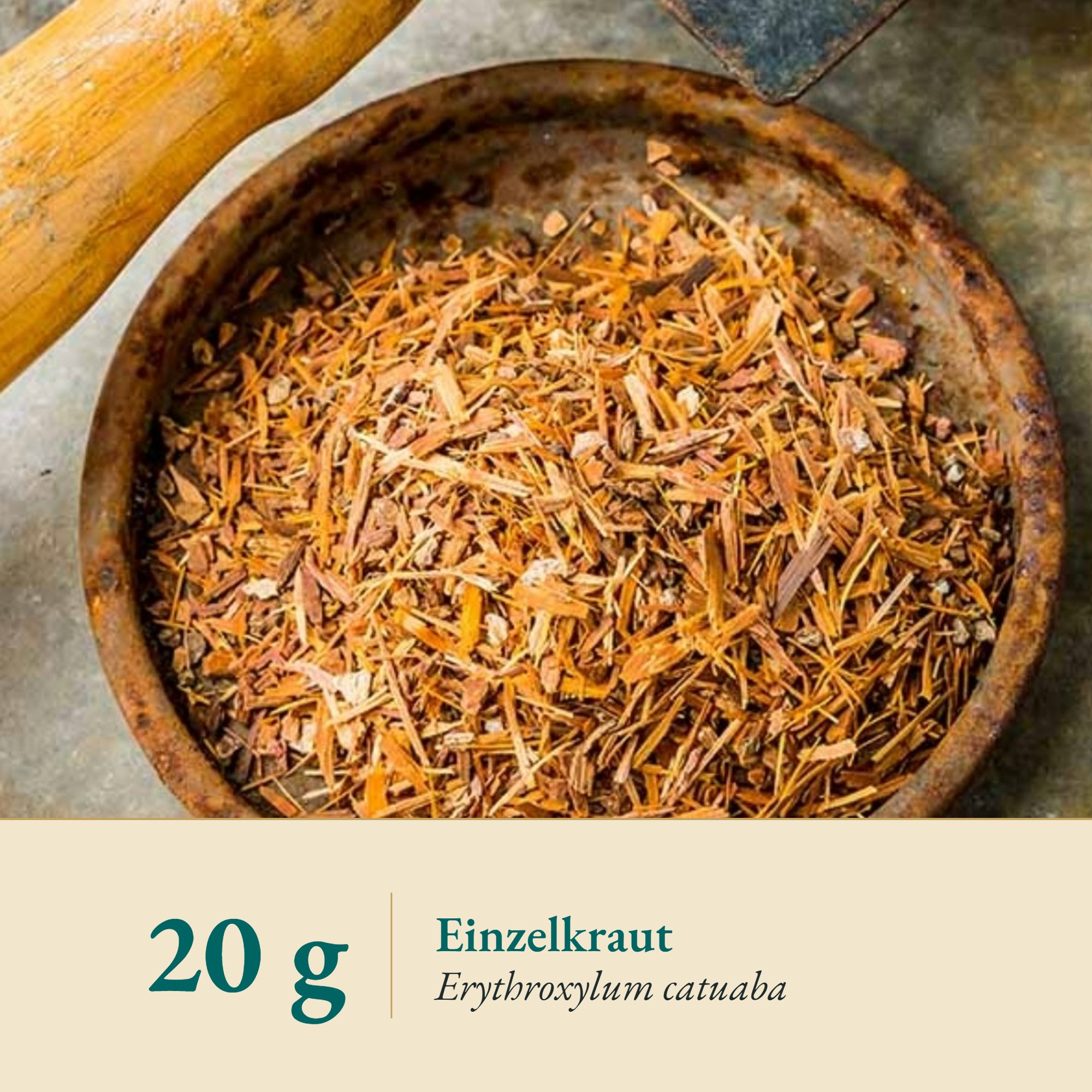 Nahaufnahme Catuaba – Kräuterparadies seit 1887