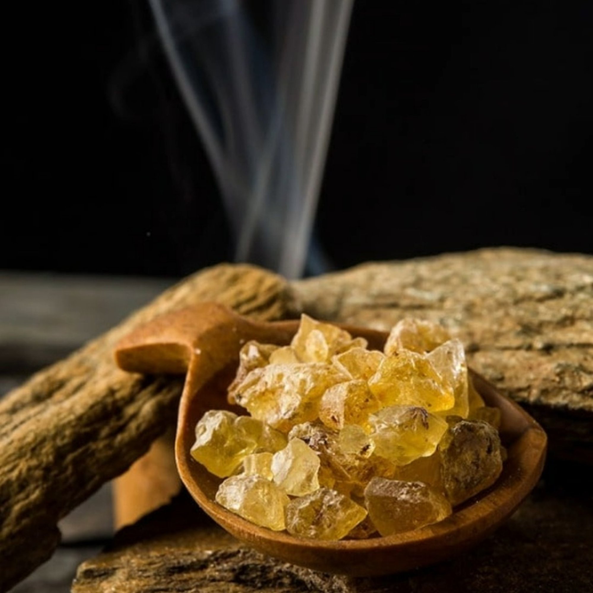 Copal weiß, 20 g – Kräuterparadies seit 1887