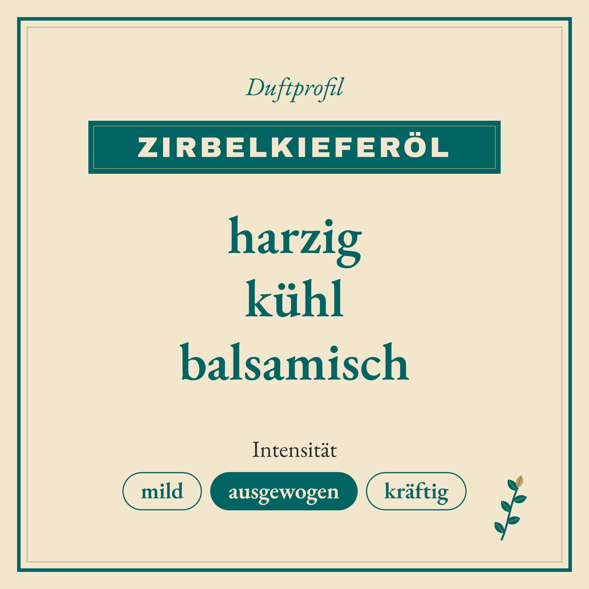 Duftprofil Zirbelkieferöl: harzig, kühl und balsamisch