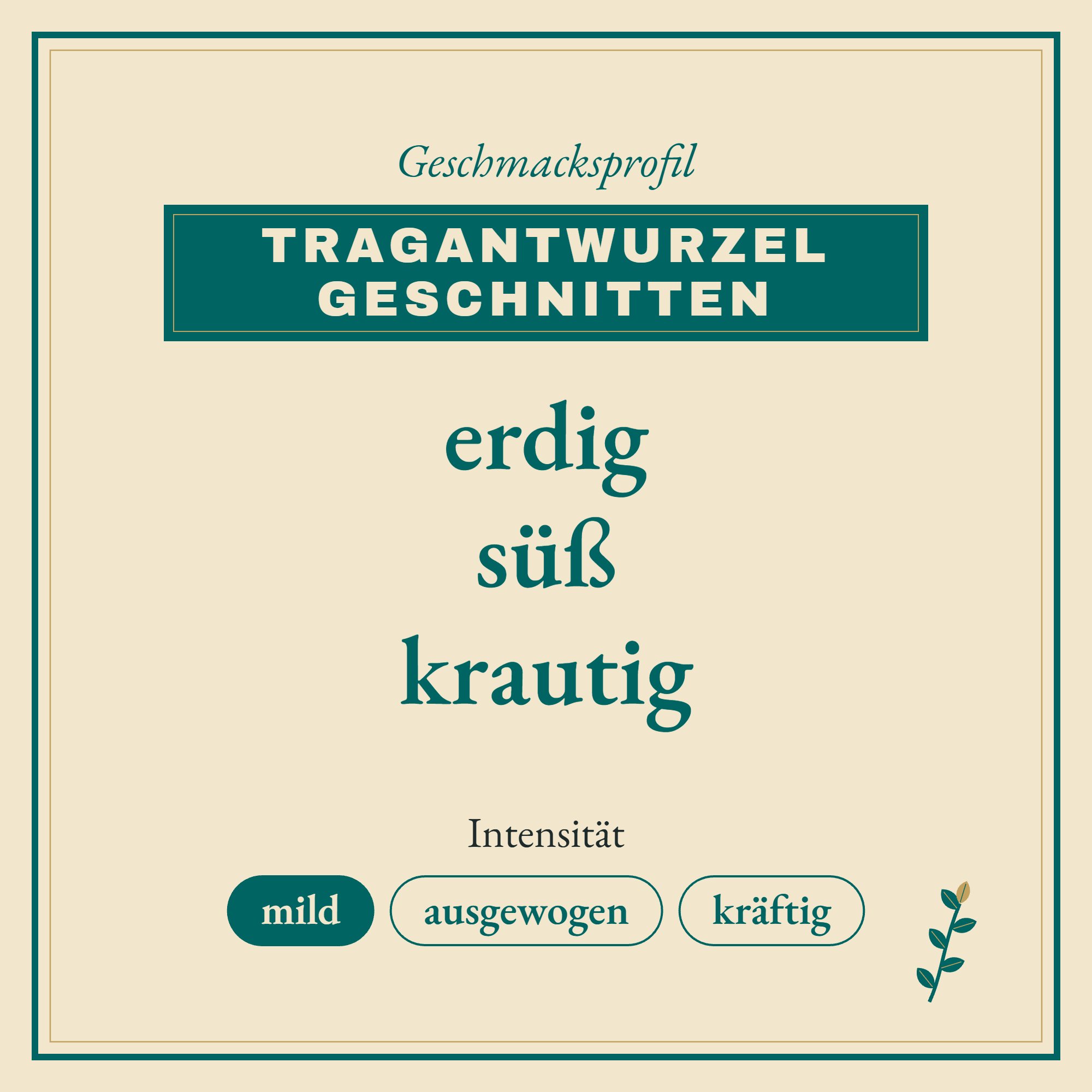 Geschmacksprofil Tragantwurzel geschnitten: erdig, süß und krautig