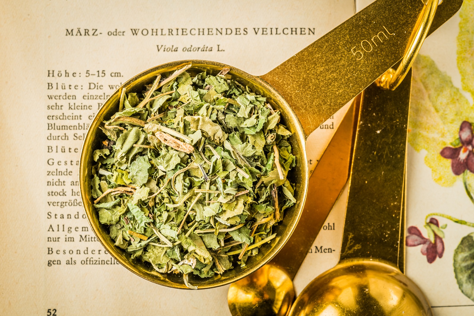 Veilchenblaetter_