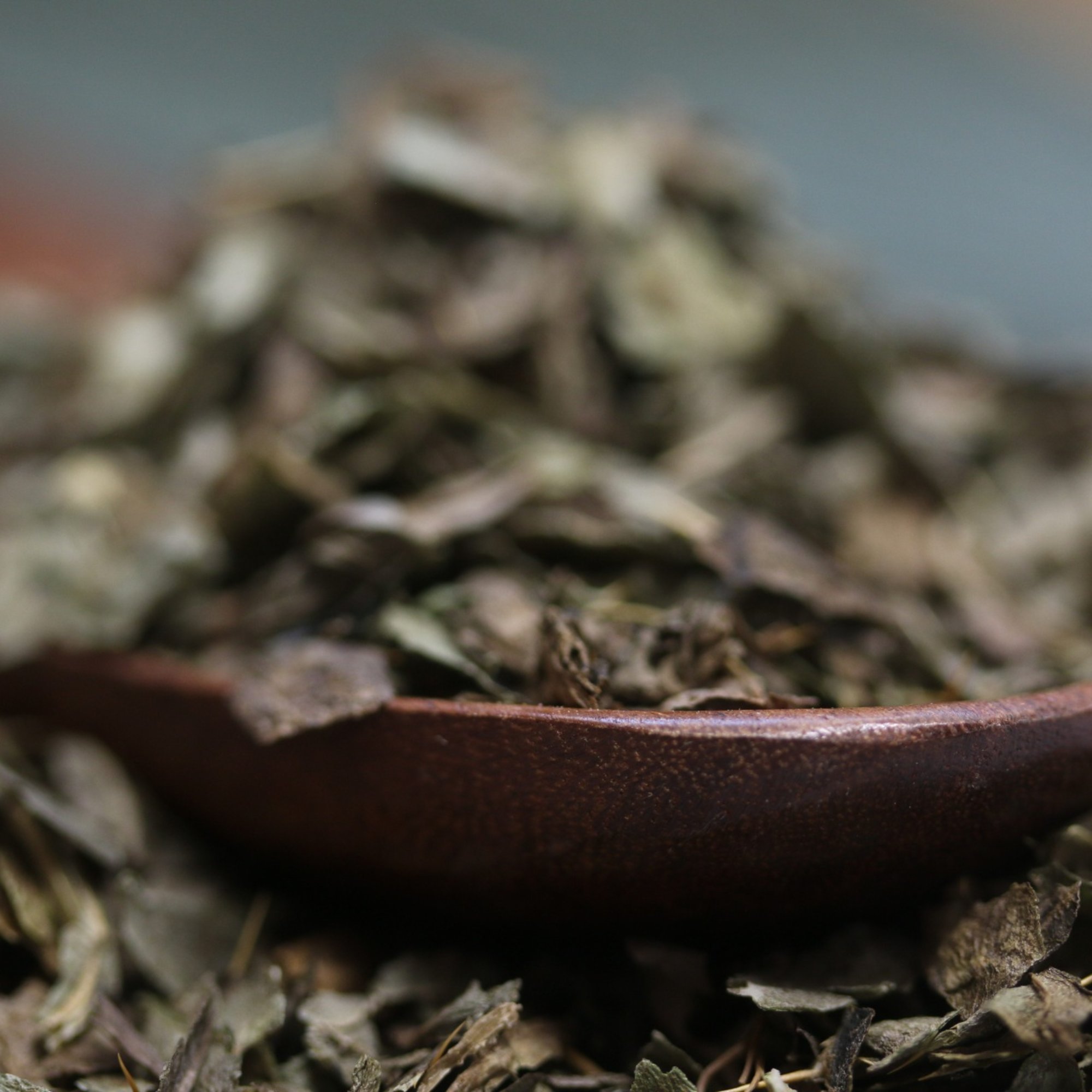 Mariendistelkraut, 20 g – Kräuterparadies seit 1887
