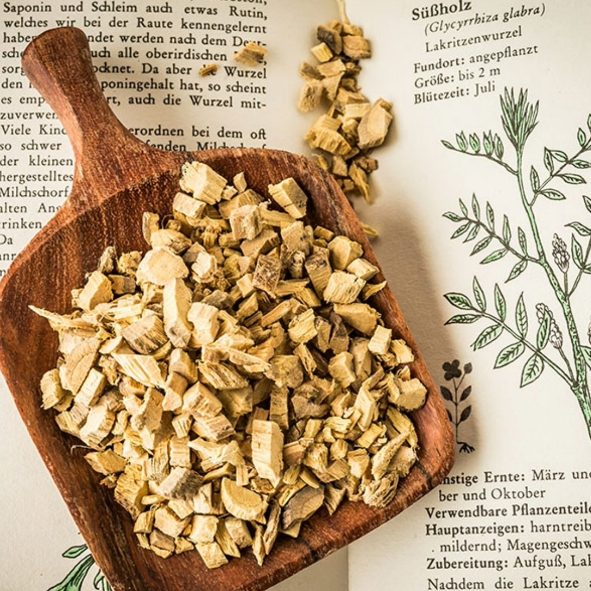 Süßholzwurzel geschnitten, 20 g – Kräuterparadies seit 1887