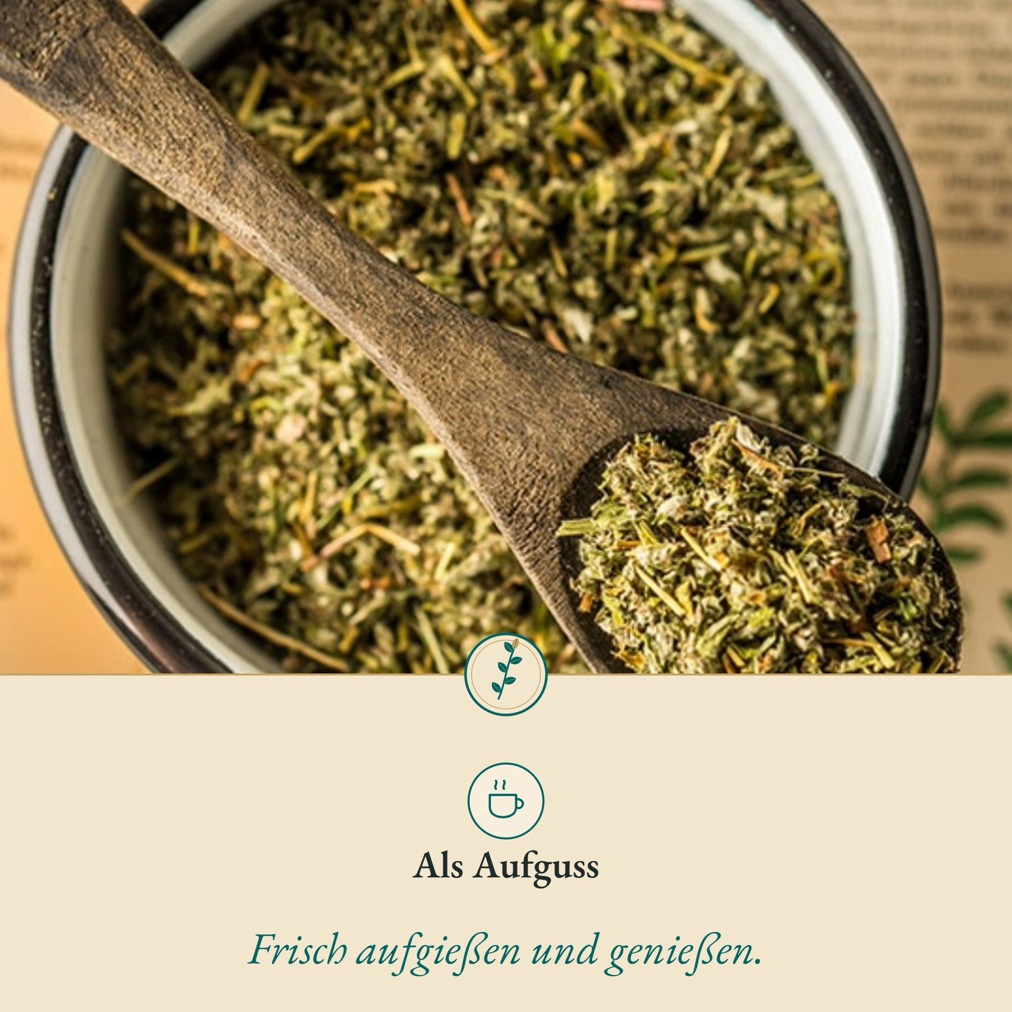 Anwendung Anserine/Gänsefingerkraut: als Aufguss