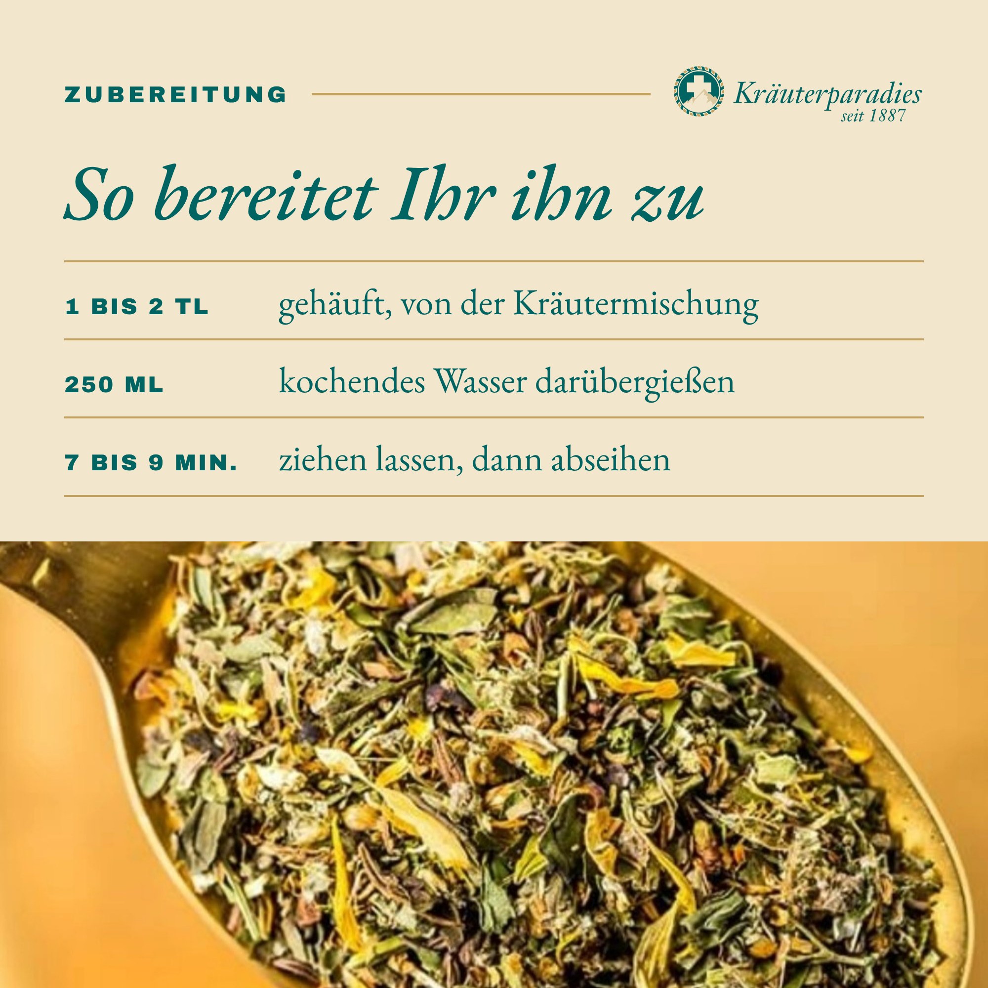 Haustee D: So bereitet Ihr ihn zu