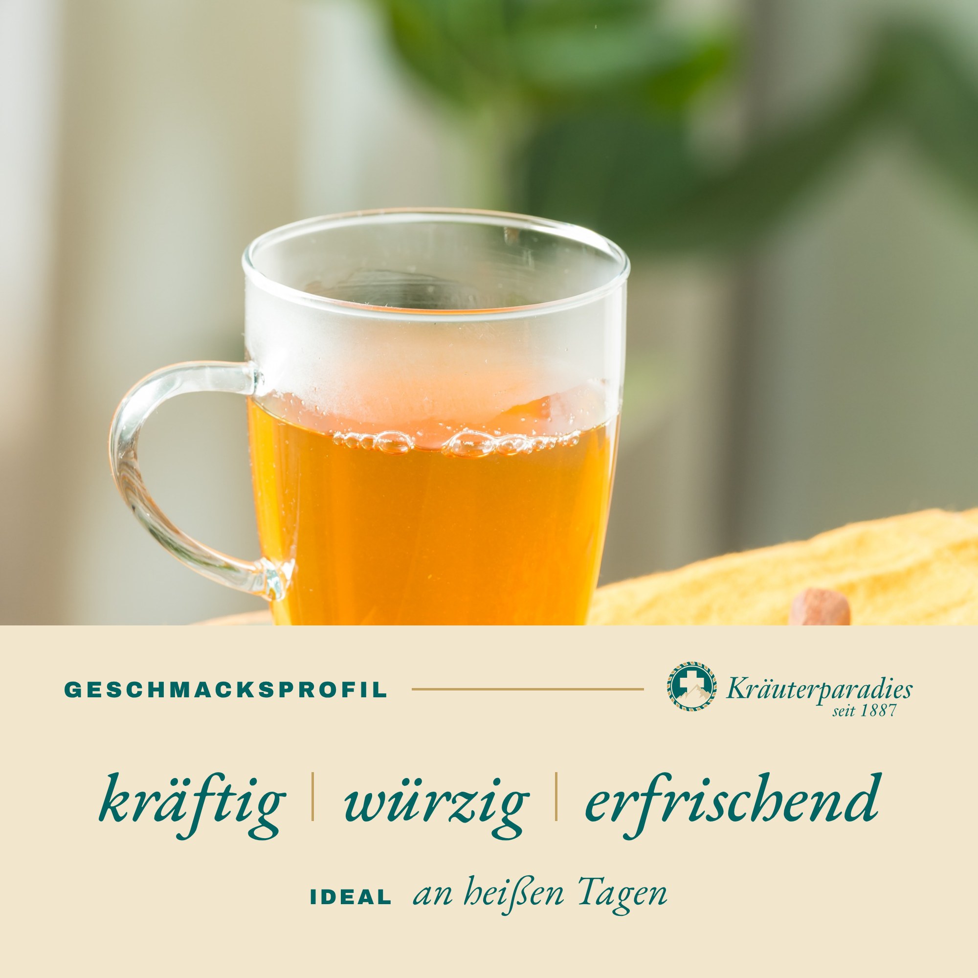 Allzeit Geschmacksprofil: kräftig, würzig, erfrischend