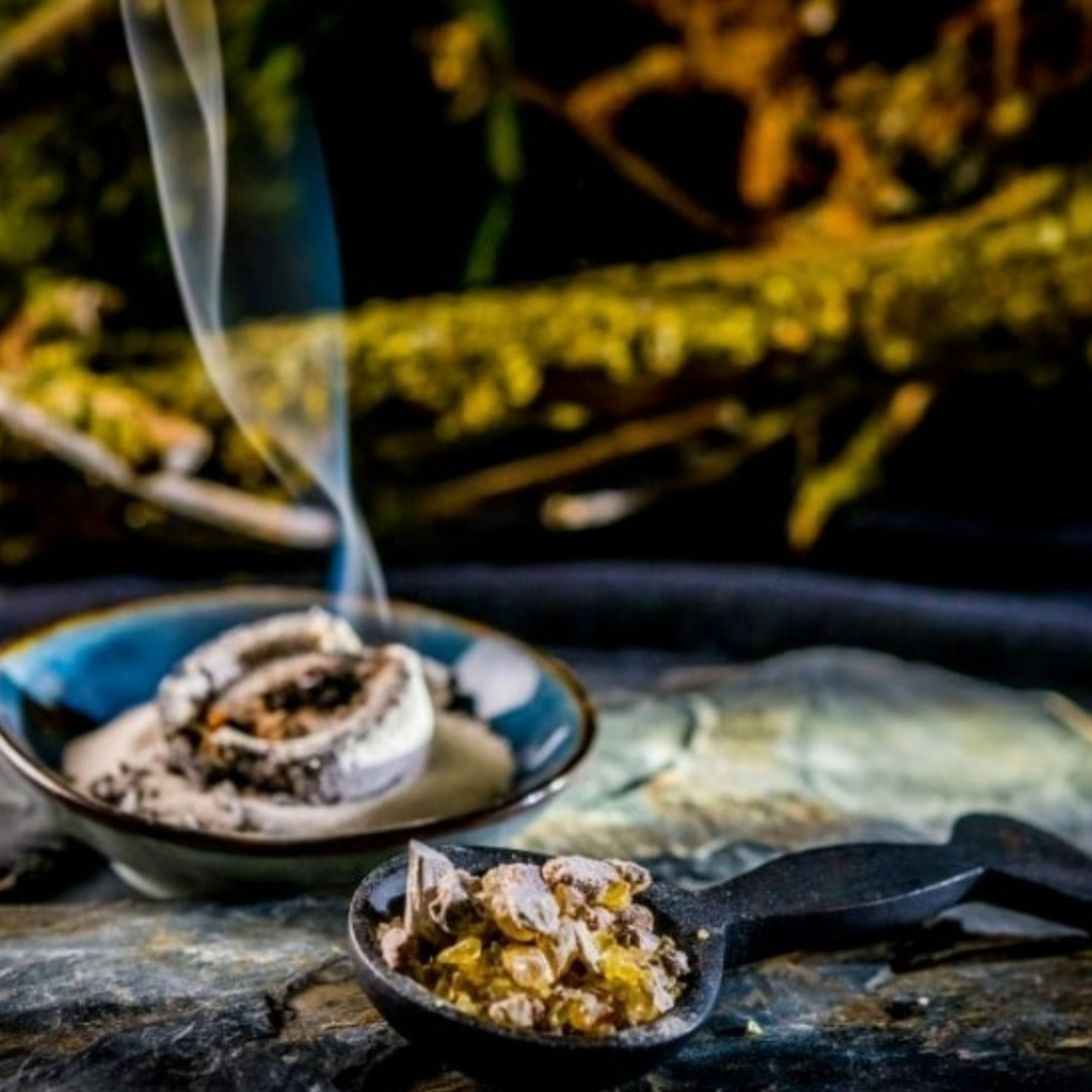 Copal Kongo, 20 g – Kräuterparadies seit 1887
